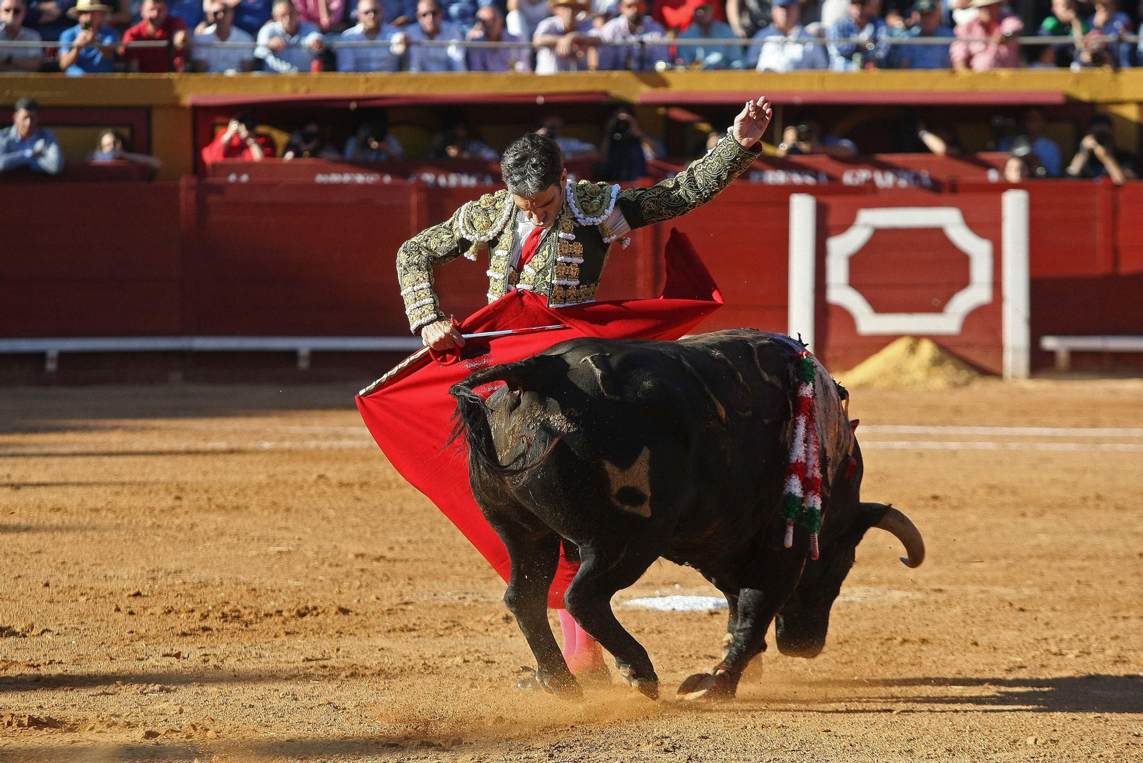 Las imágenes de la reaparición de José Tomás en Algeciras