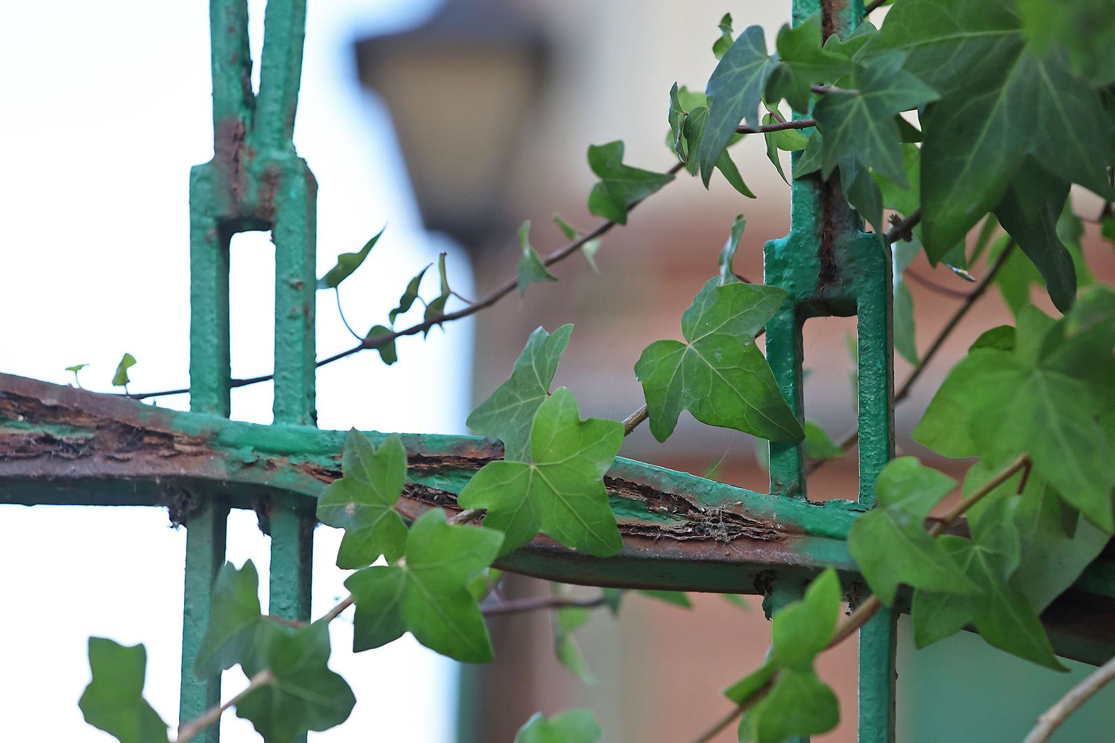 Las imágenes más destacadas del miércoles 9 de octubre en Huelva