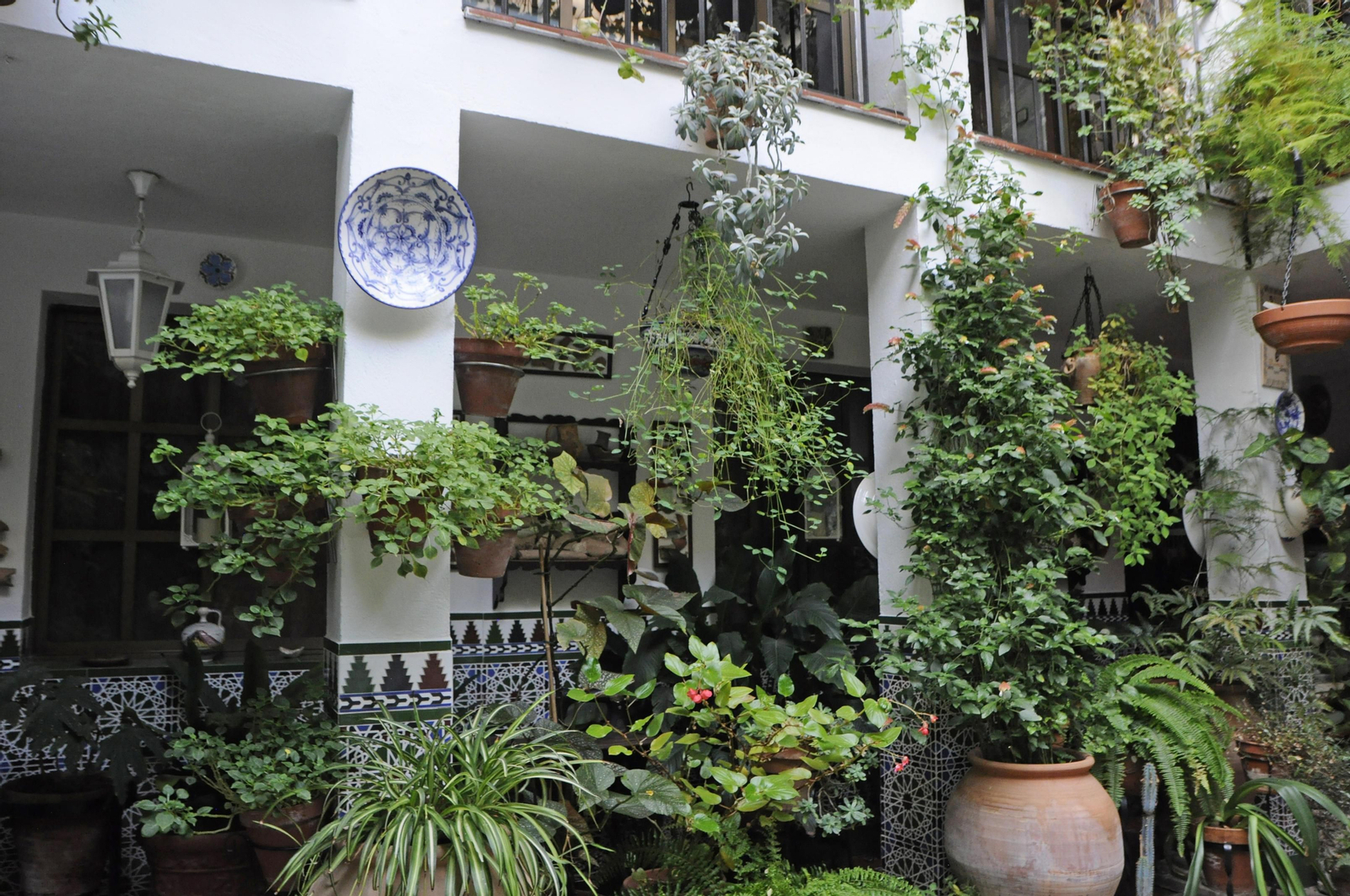 Los Patios de Córdoba se acicalan para su apertura en otoño, en fotografías