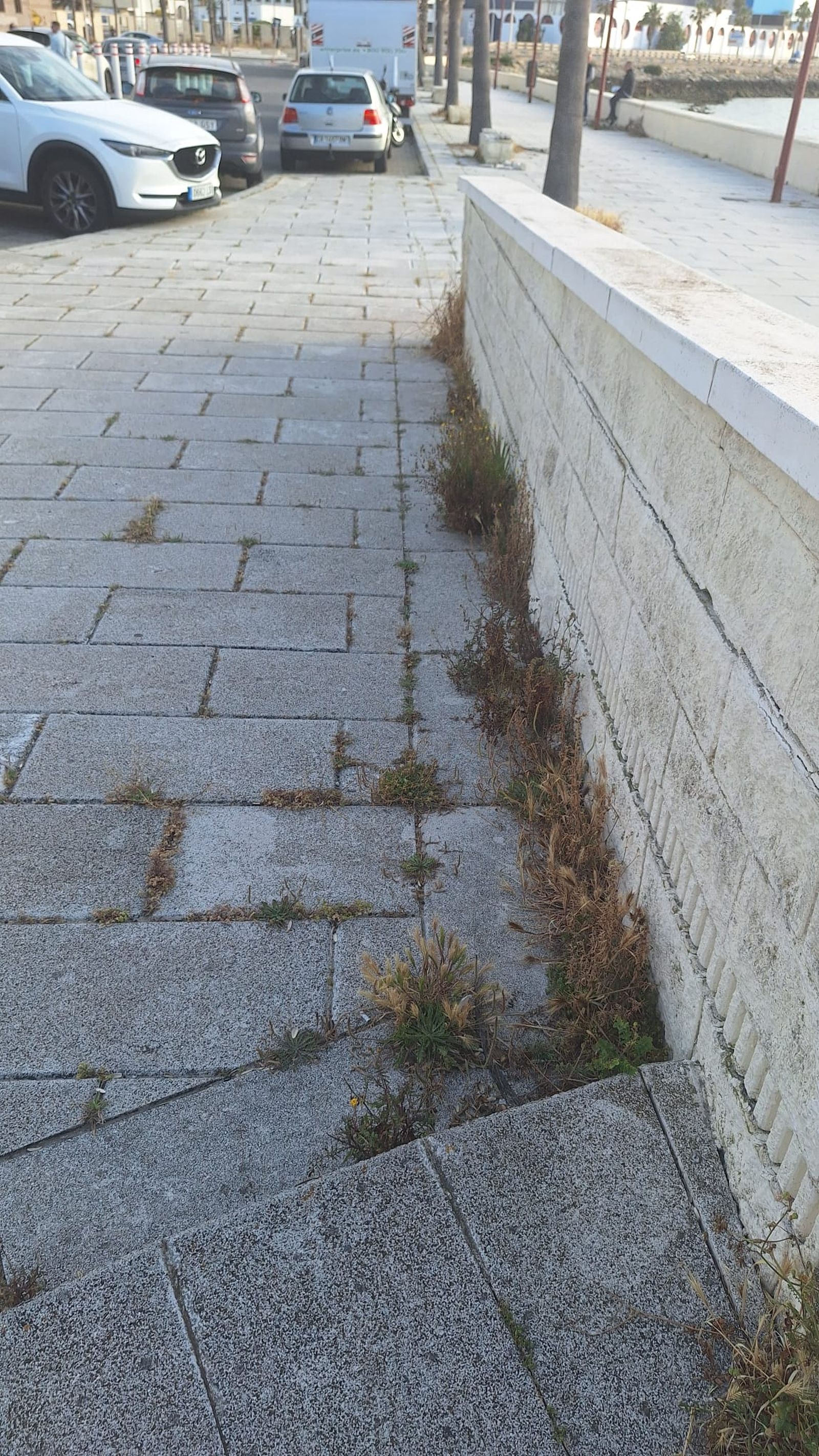 WhatsApp Image 2025-05-07 at 17.02.44.jpeg