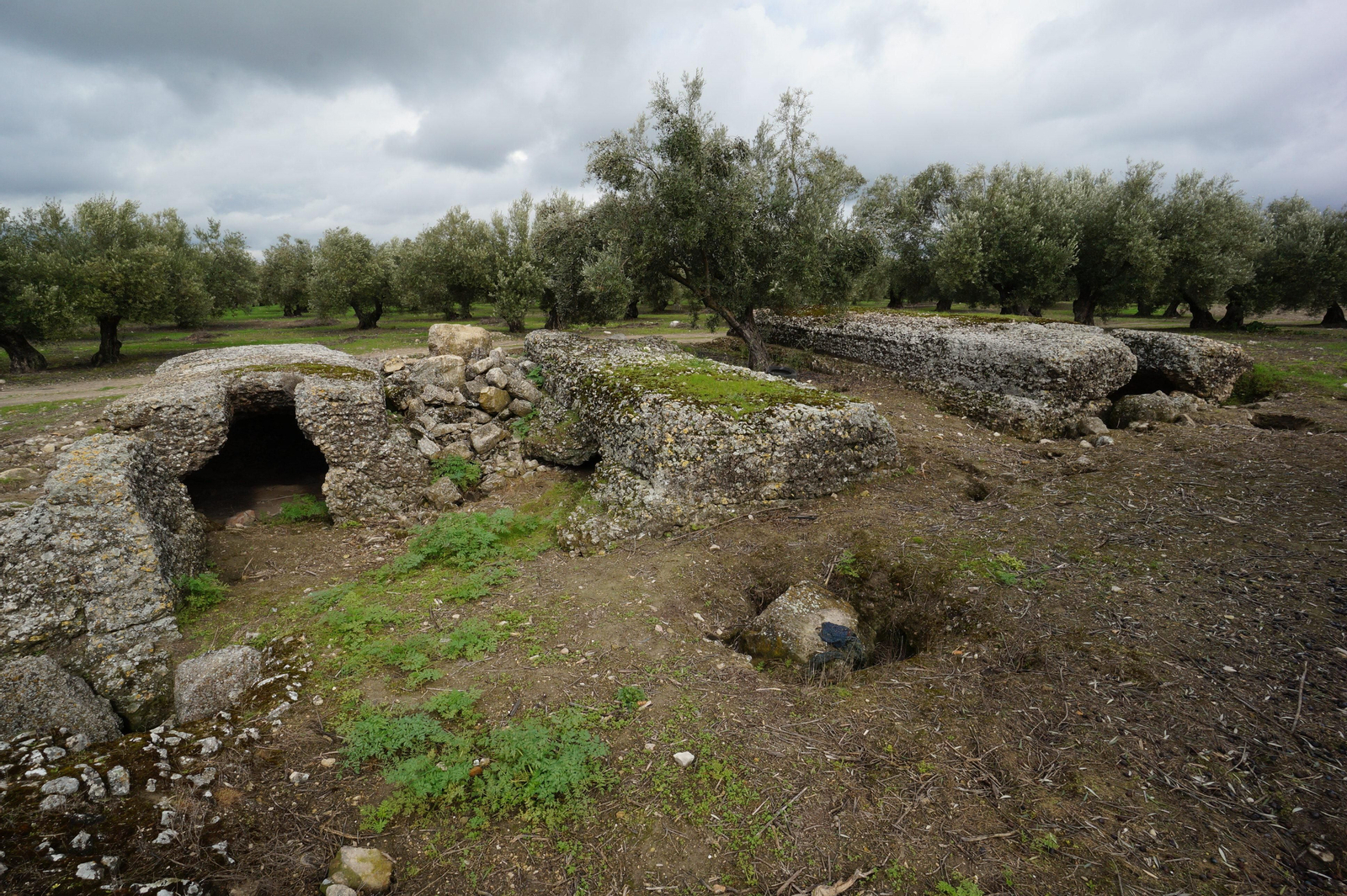 Los silos romanos del Carchena en Castro del Río, en fotografías