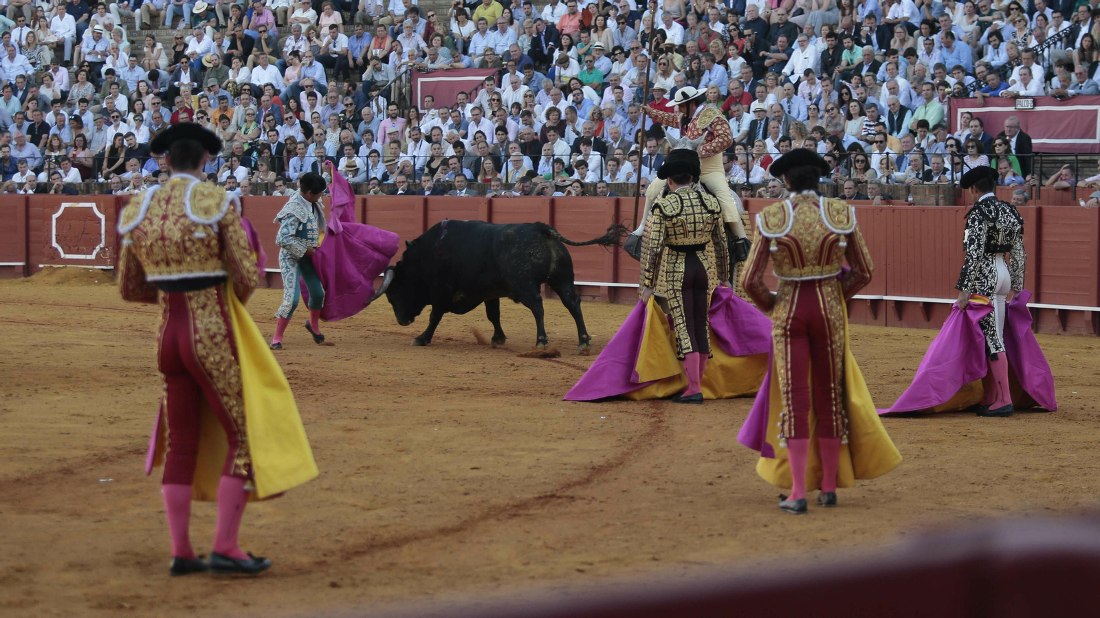 Las imágenes de la corrida de Los Miura
