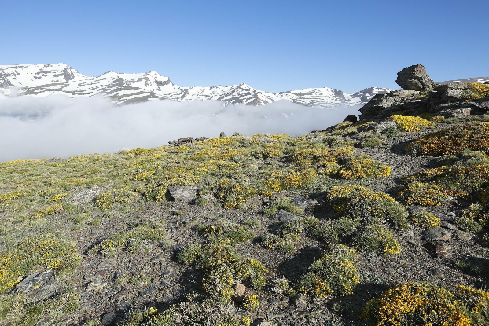 Cuatro estaciones en Sierra Nevada