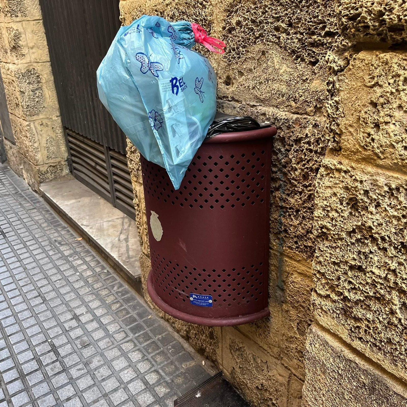 Típico guarro gaditano