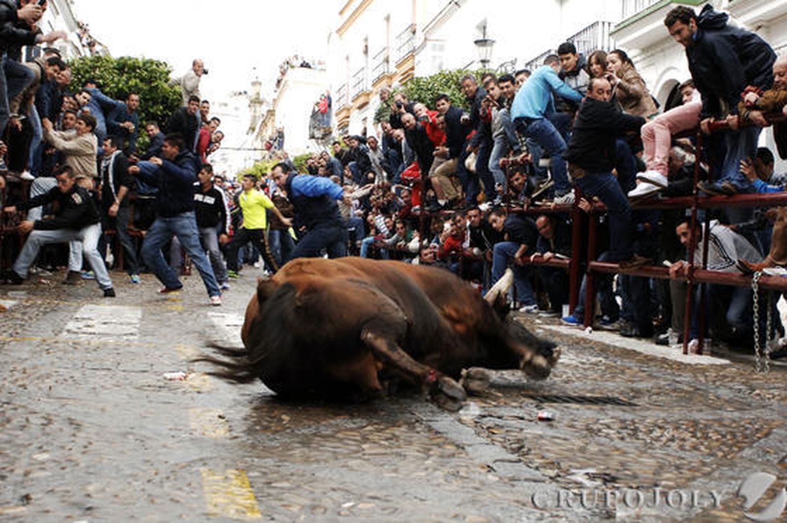 Arcos

Foto: Ramón Aguilar