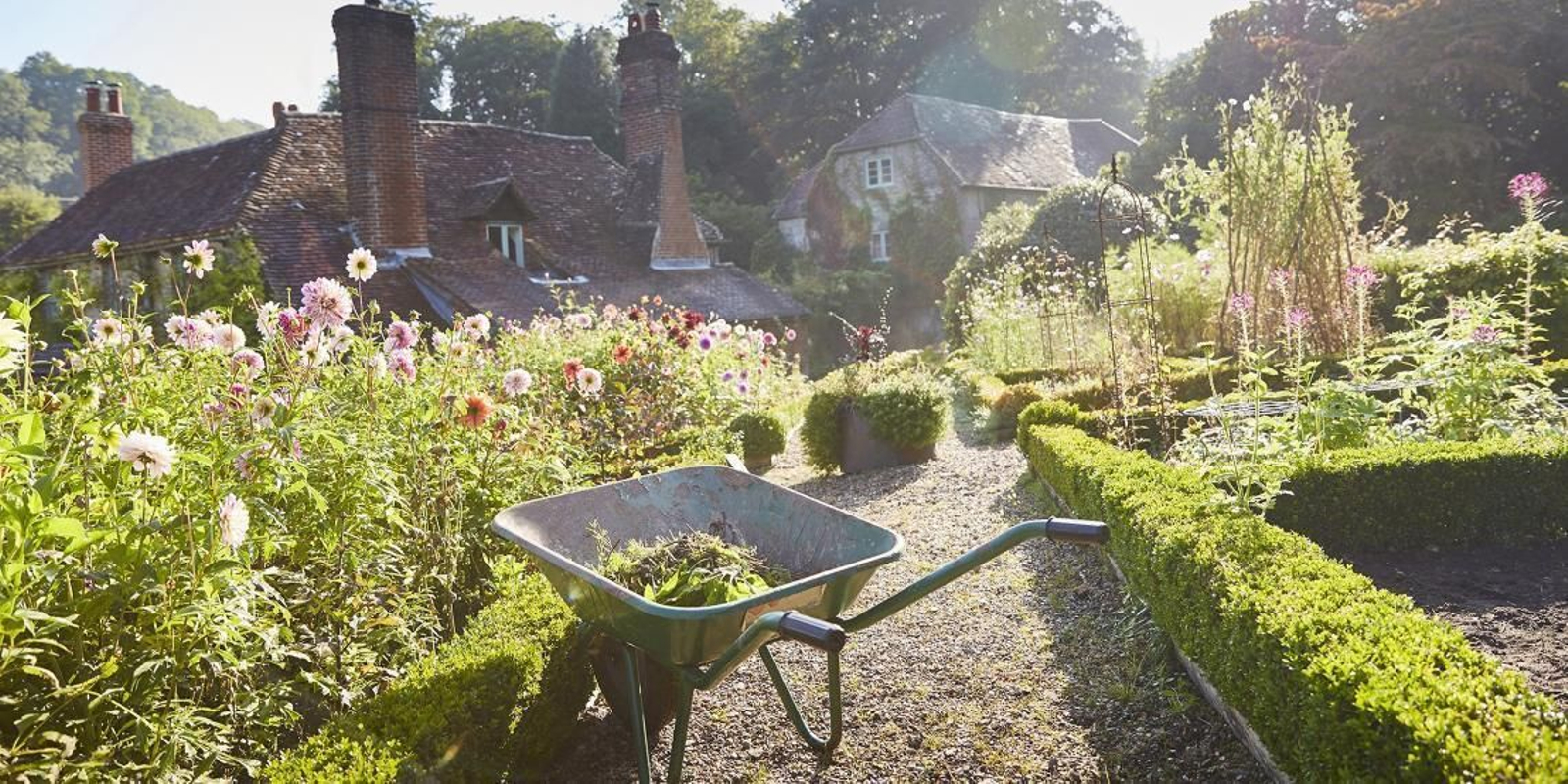 Para lograr el jardín perfecto es fundamental conocer los trucos y características de sus plantas.
