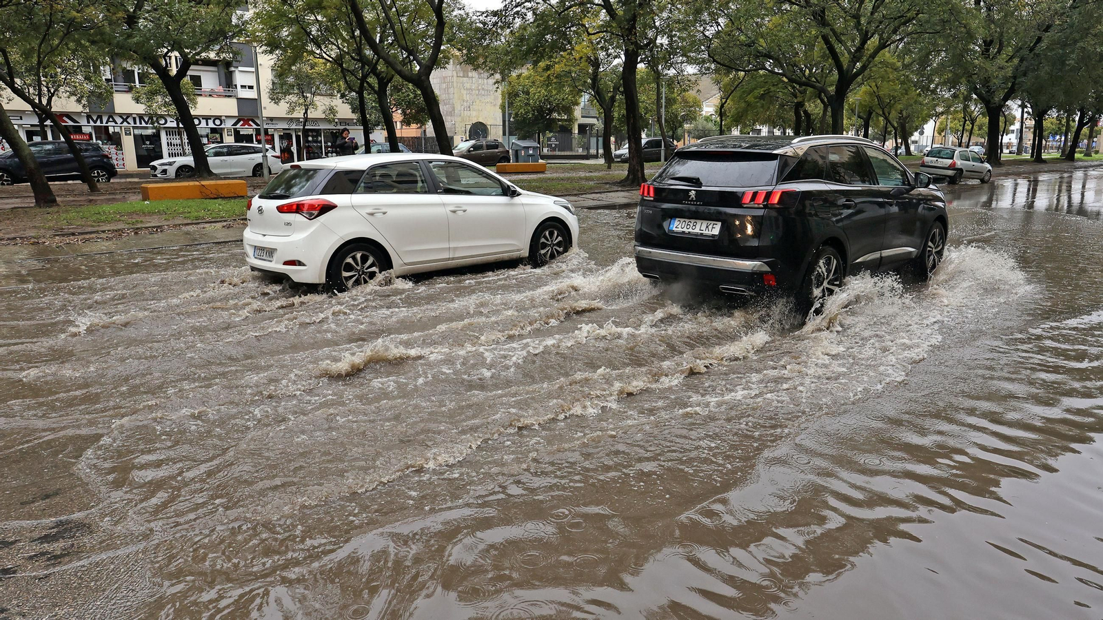 Imágenes del temporal de viento y lluvia en Jerez