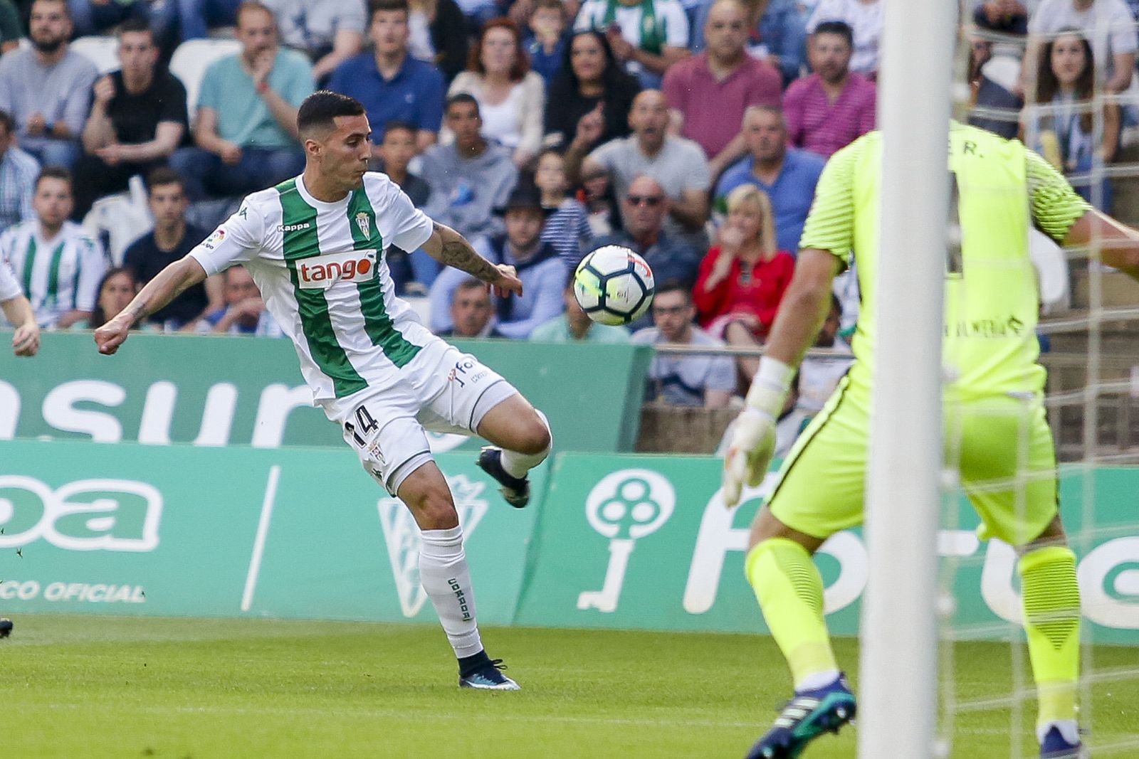 Las imágenes del Córdoba-Almería