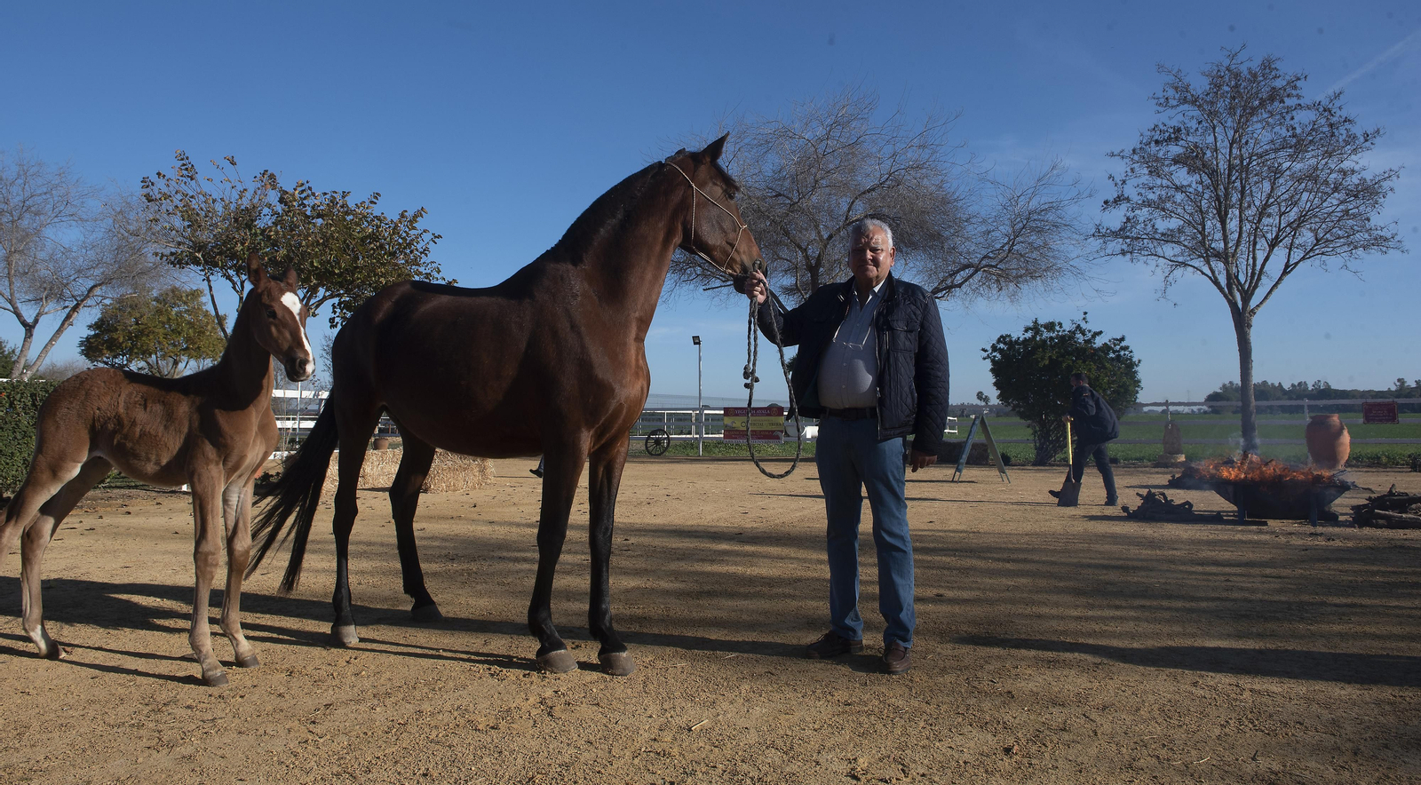 Un día de matanza en una finca sevillana