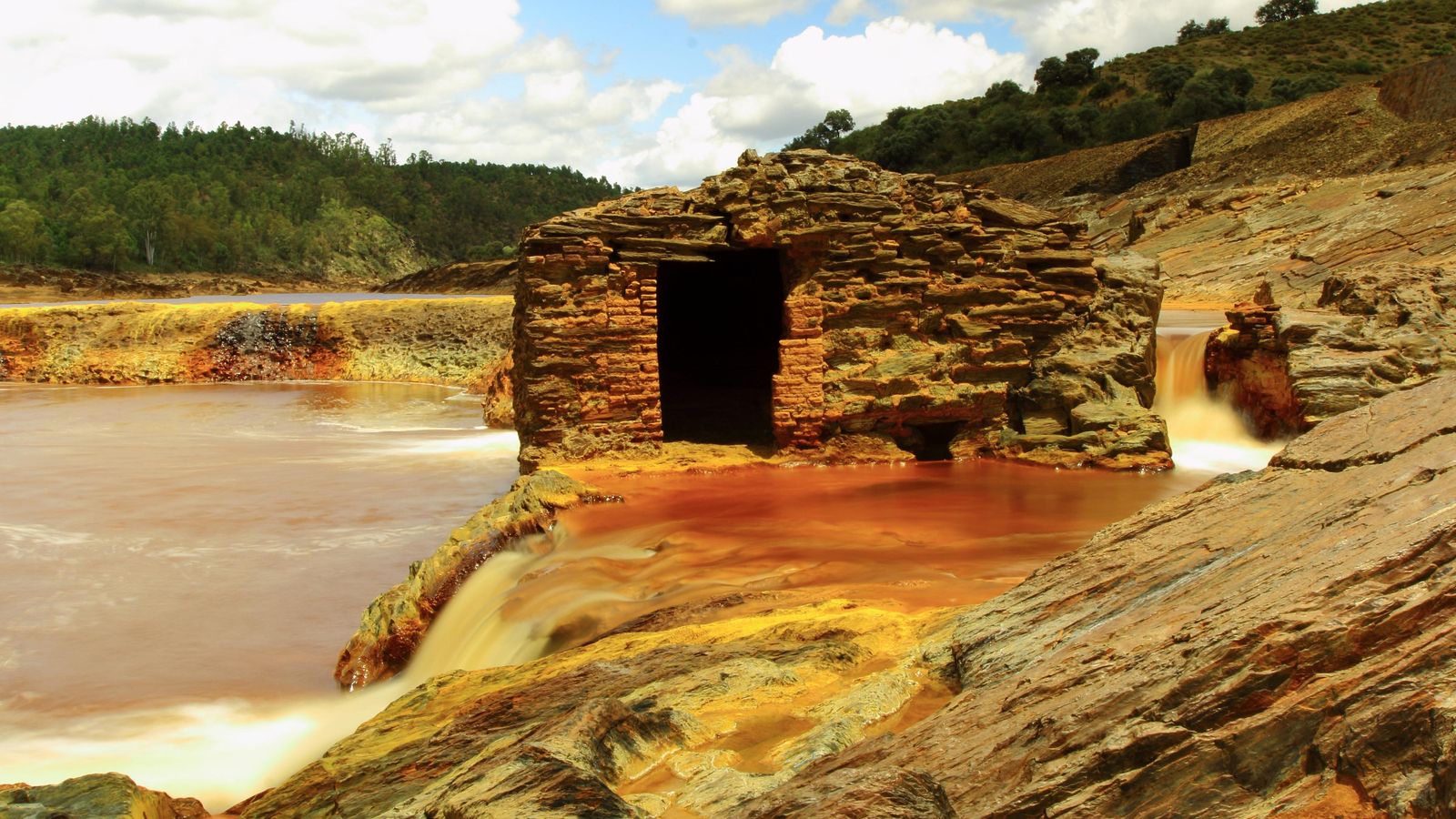'Seda del Tinto', tercer premio del concurso