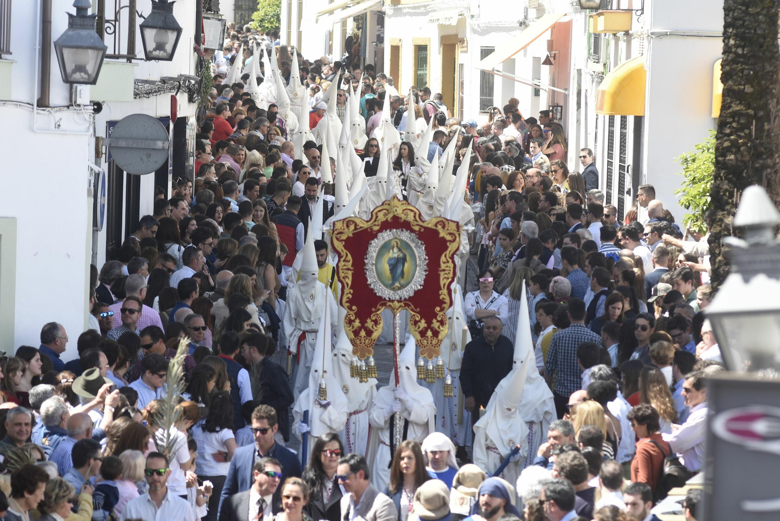 Nazarenos de la Entrada Triunfal durante la salida procesional del Domingo de Ramos de 2019. Nazarenos de la Entrada Triunfal durante la salida procesional del Domingo de Ramos de 2019.
