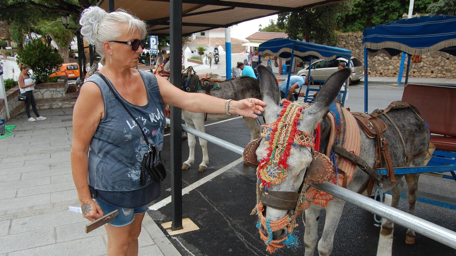 Una turista danesa en una parada de burro-taxis. Una turista danesa en una parada de burro-taxis.