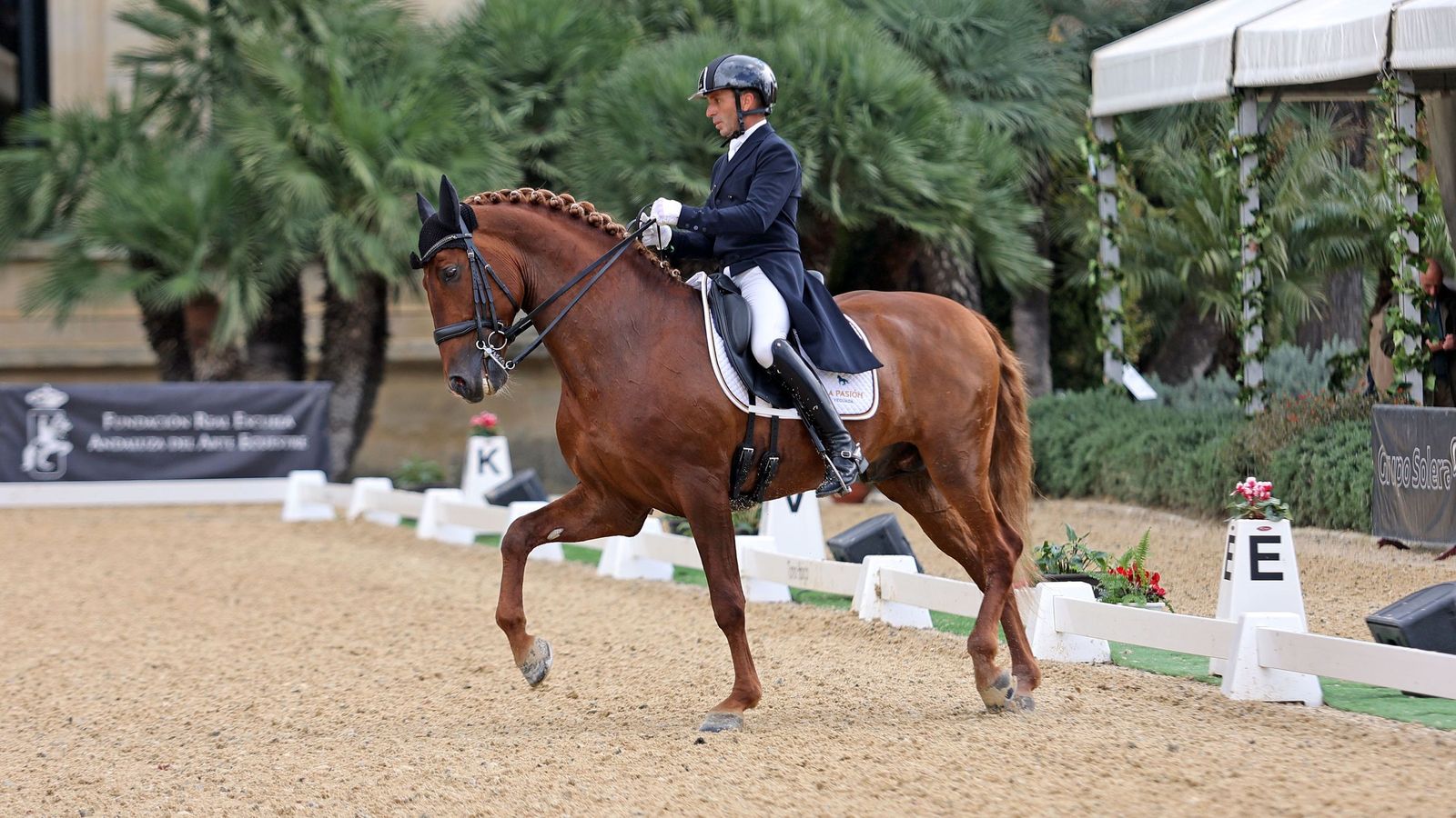 Concurso Internacional de Doma Clásica en La Real Escuela de Jerez