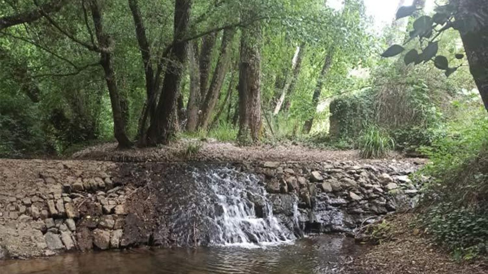 Sendero Jabugo-Castaño del Robledo