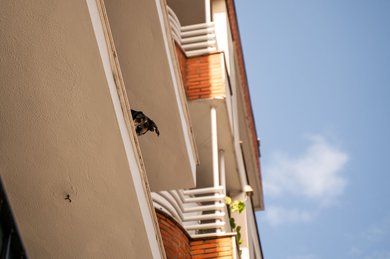 Las imágenes más destacadas del viernes 25 de abril en Huelva