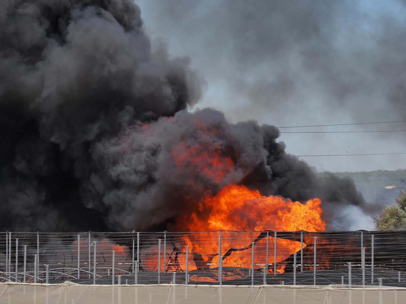 Las imágenes del aparatoso fuego que ha arrasado un vivero en Cartaya