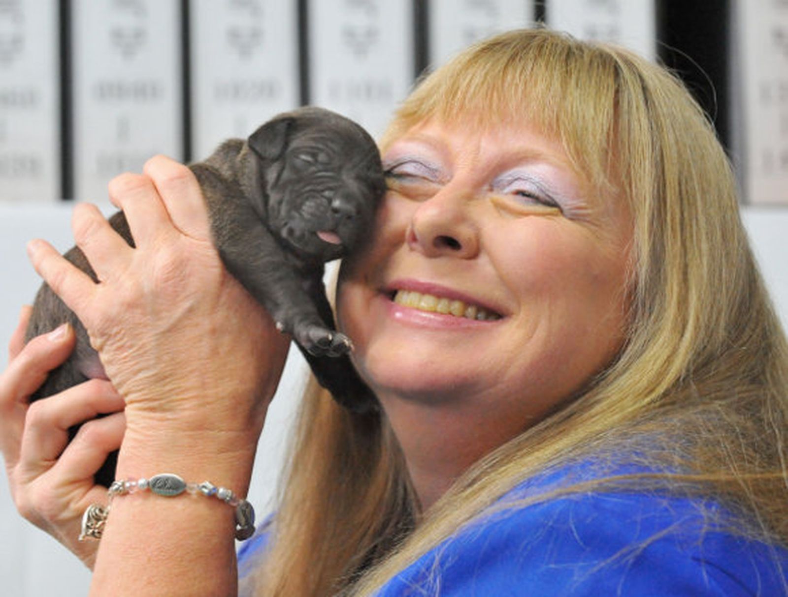 Científicos surcoreanos clonan 5 cachorros de 'Pit Bull Terrrier'