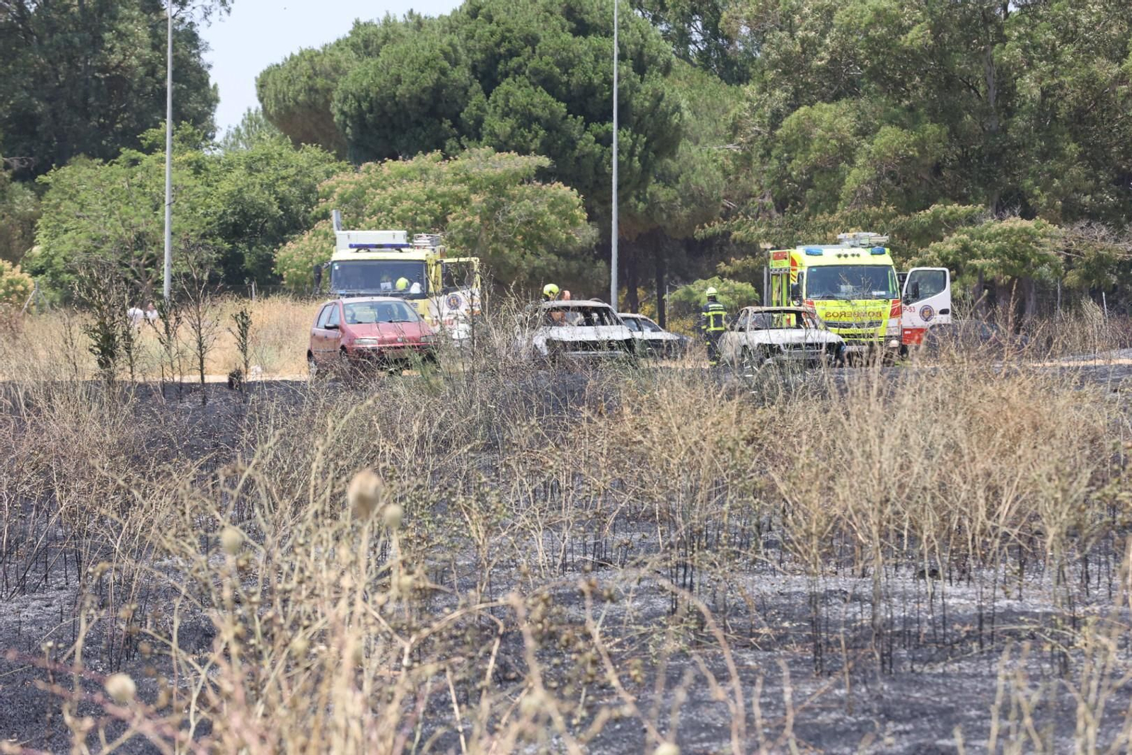 Incendio de pastos junto a la avenida de Espera en Jerez