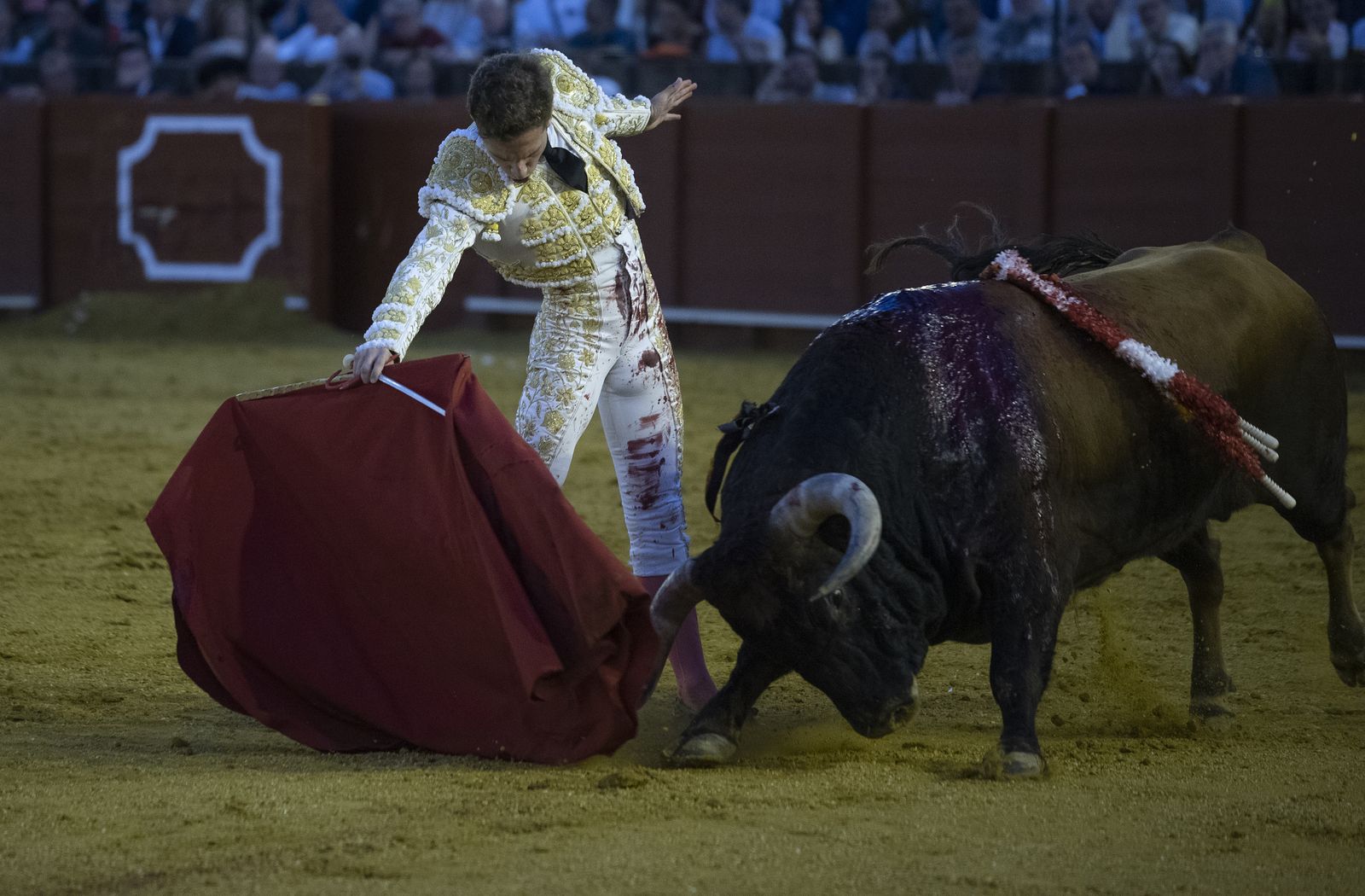 Las imágenes de la segunda corrida de la Feria de San Miguel