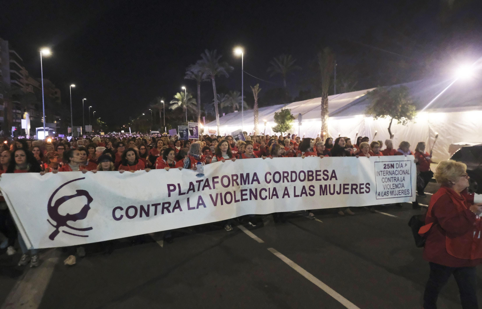 La manifestación en Córdoba contra la violencia de género, en fotografías