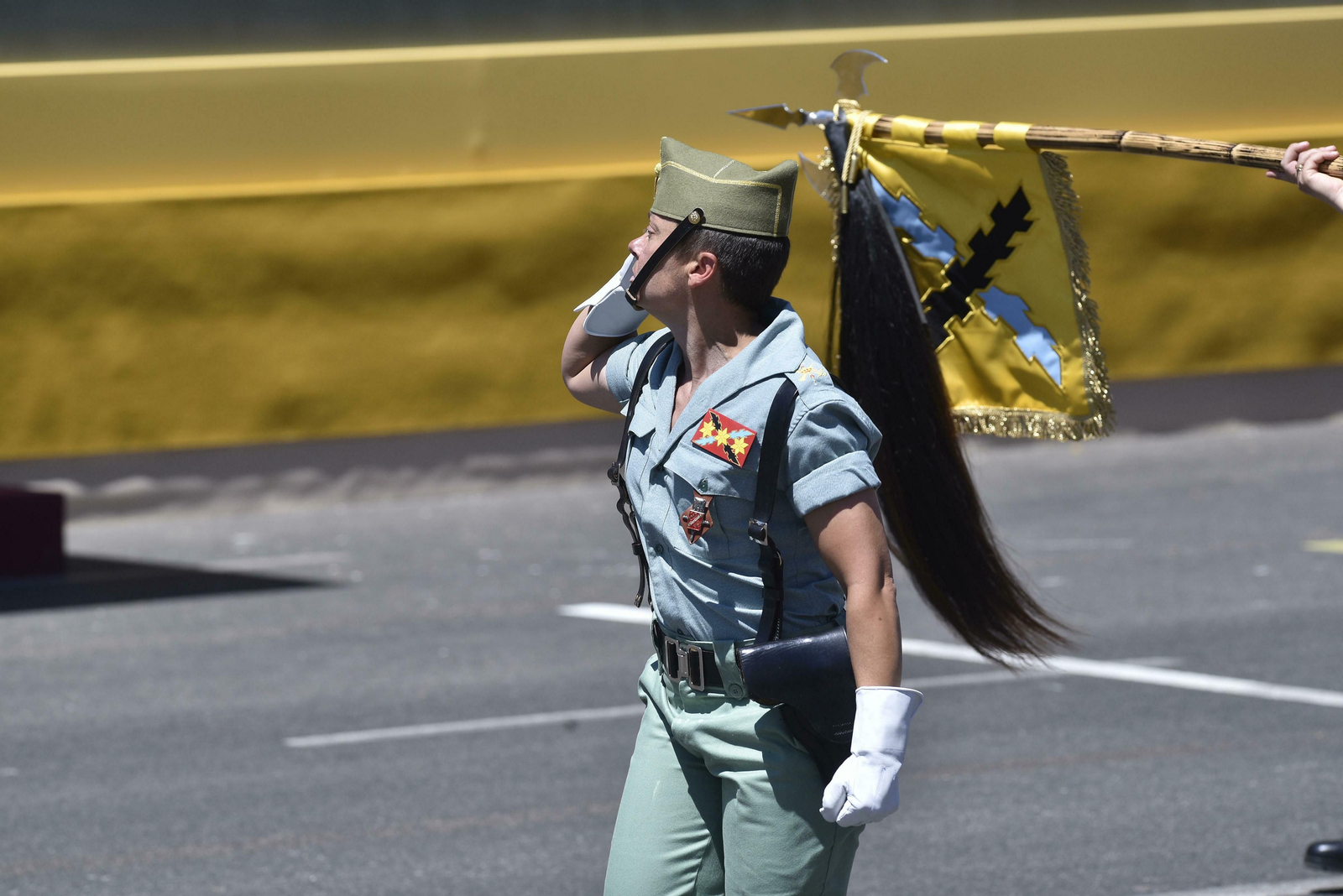 Las imágenes del desfile del Día de las Fuerzas Armadas en Sevilla