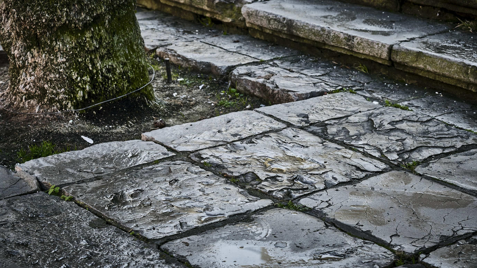 Estado del pavimento en plaza de la Catedral