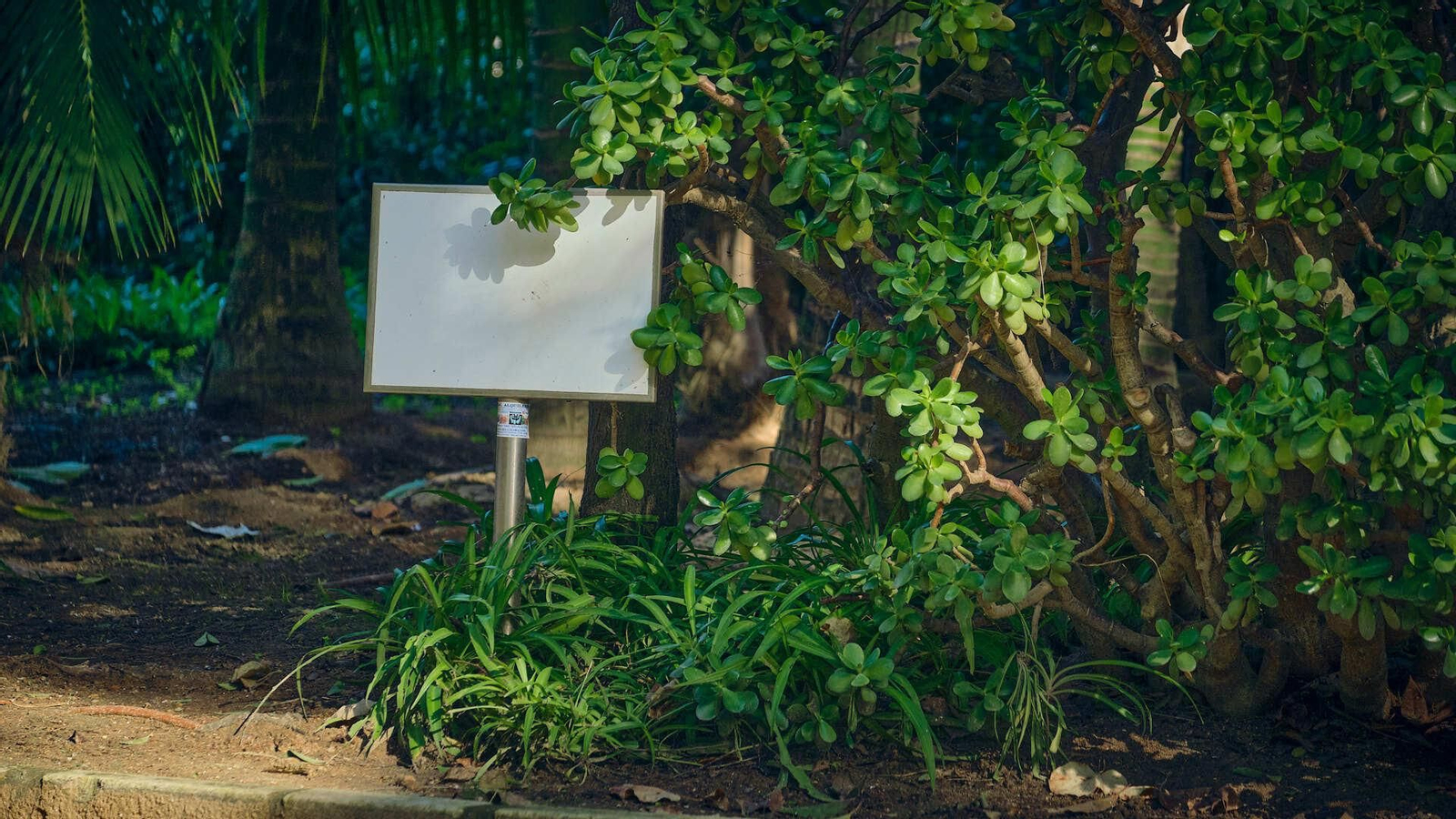 La cartelería que informa de los nombres de las especies vegetales aparecen muy deterioradas y estropeadas.