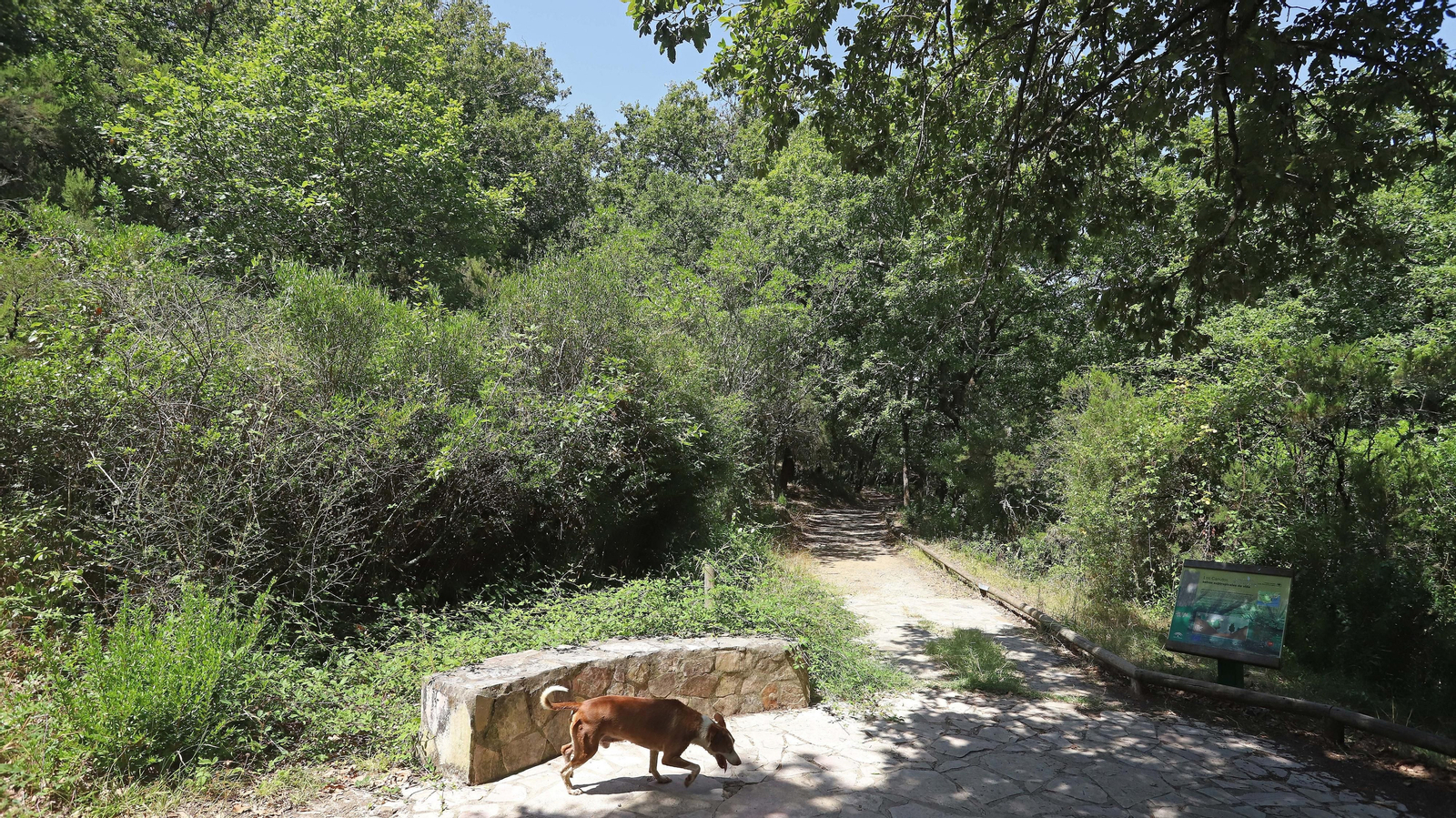 Las mejores fotos de la Montera del Torero y Valdeinfierno
