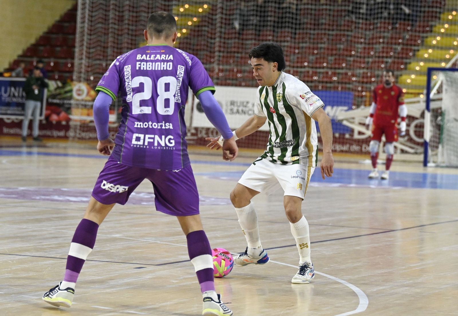 Las mejores fotos del ambiente en Vista Alegre para el Córdoba Patrimonio - Palma Futsal