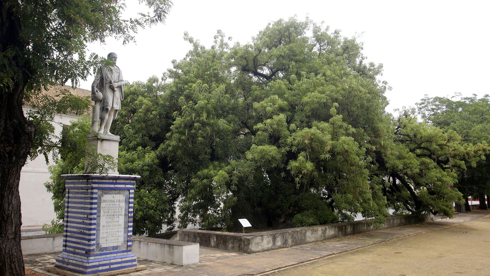El monumento a Colón y el ombú del Monasterio de la Cartuja.