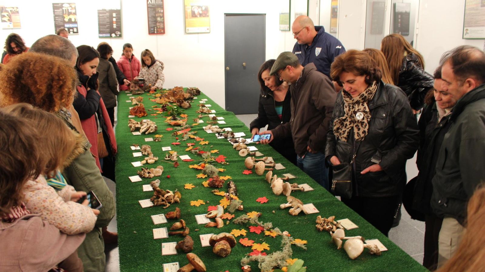 Jornadas Micológicas de Constantina en una edición pasada.