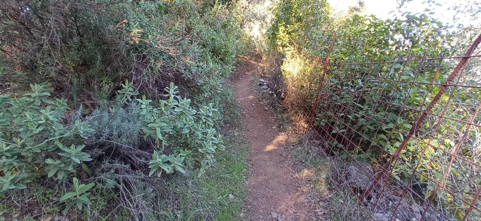 Fotos de la Ruta circular Aracena-Linares de la Sierra-Aracena