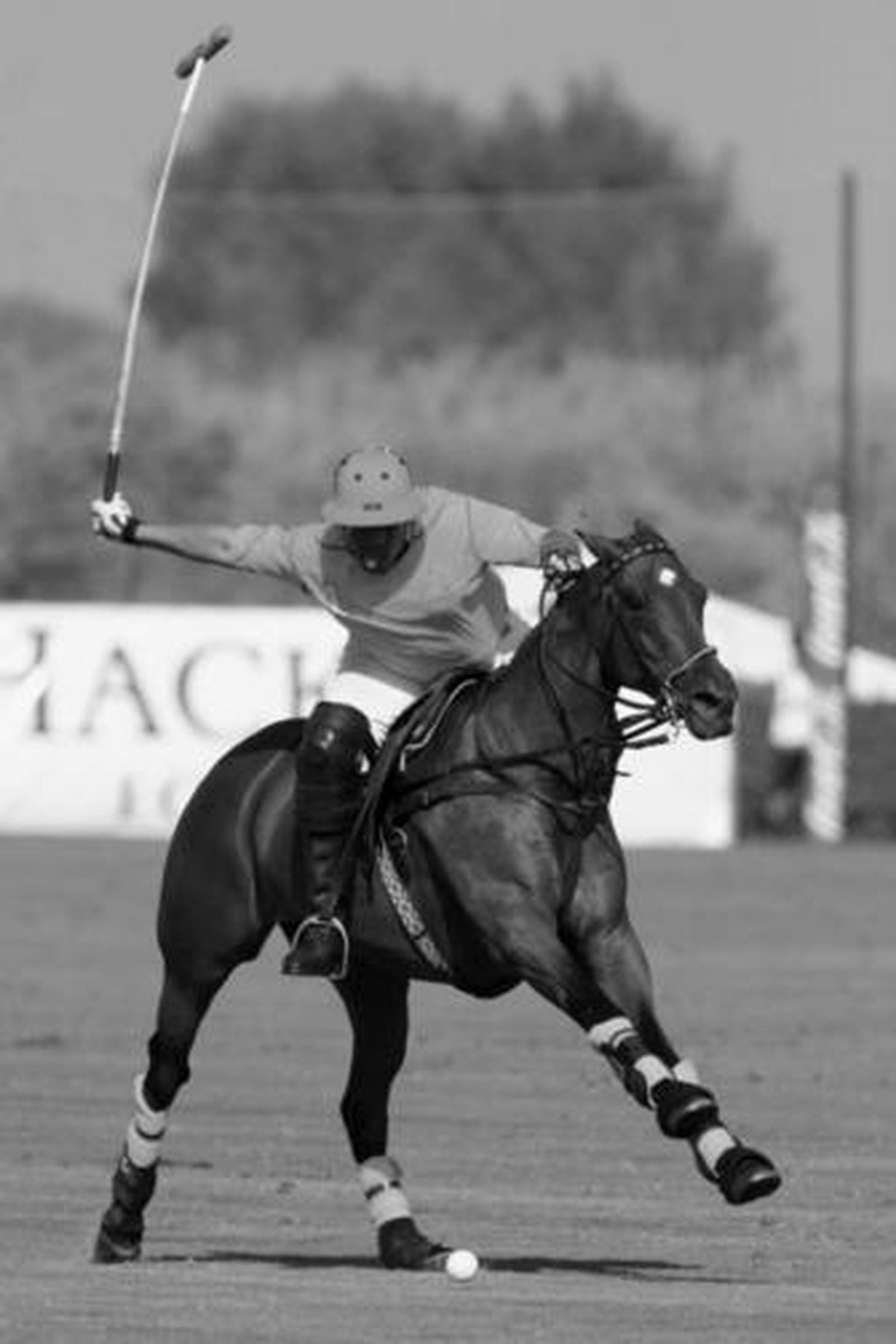 Camilo Bautista, patrón de Las Monjitas, ayer en el Santa María Polo Club.