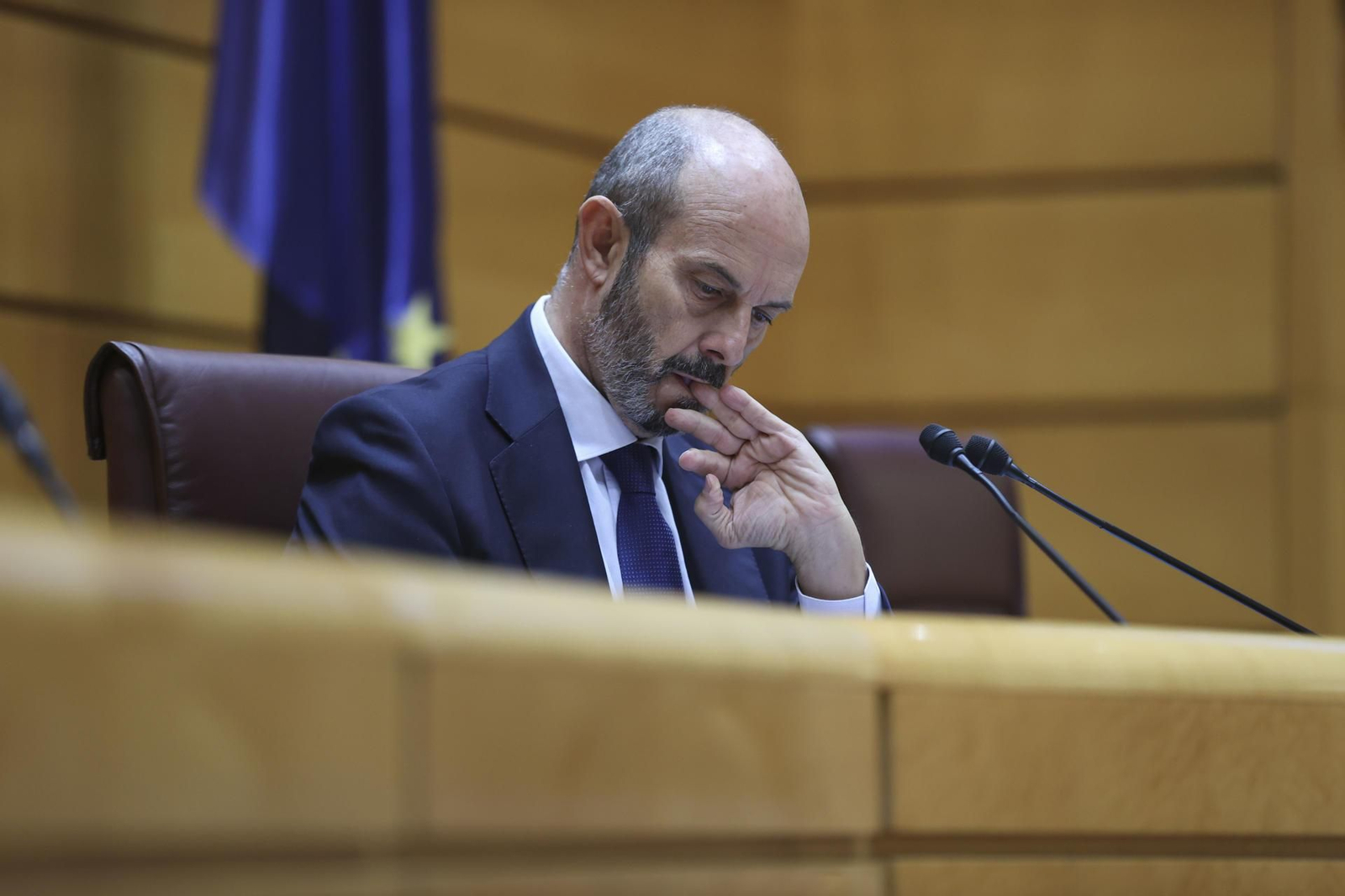 El presidente del Senado, Pedro Rollán.
