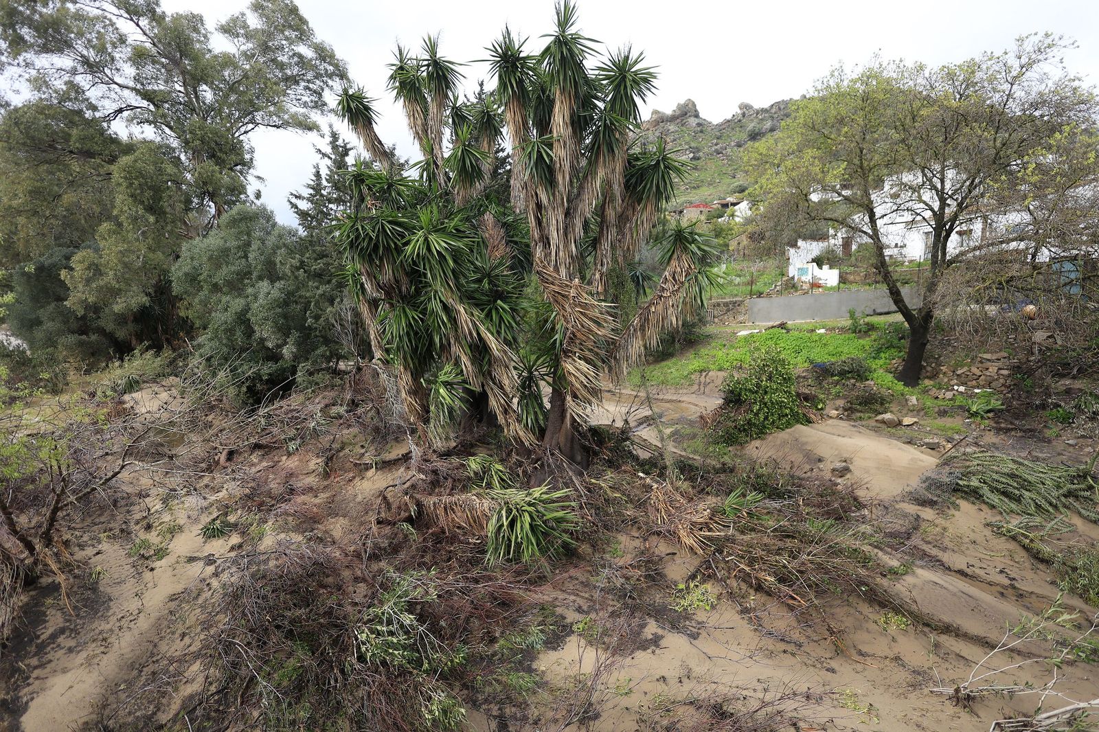 Fotos de San Martín del Tesorillo listo para la evacuación por la borrasca Marta