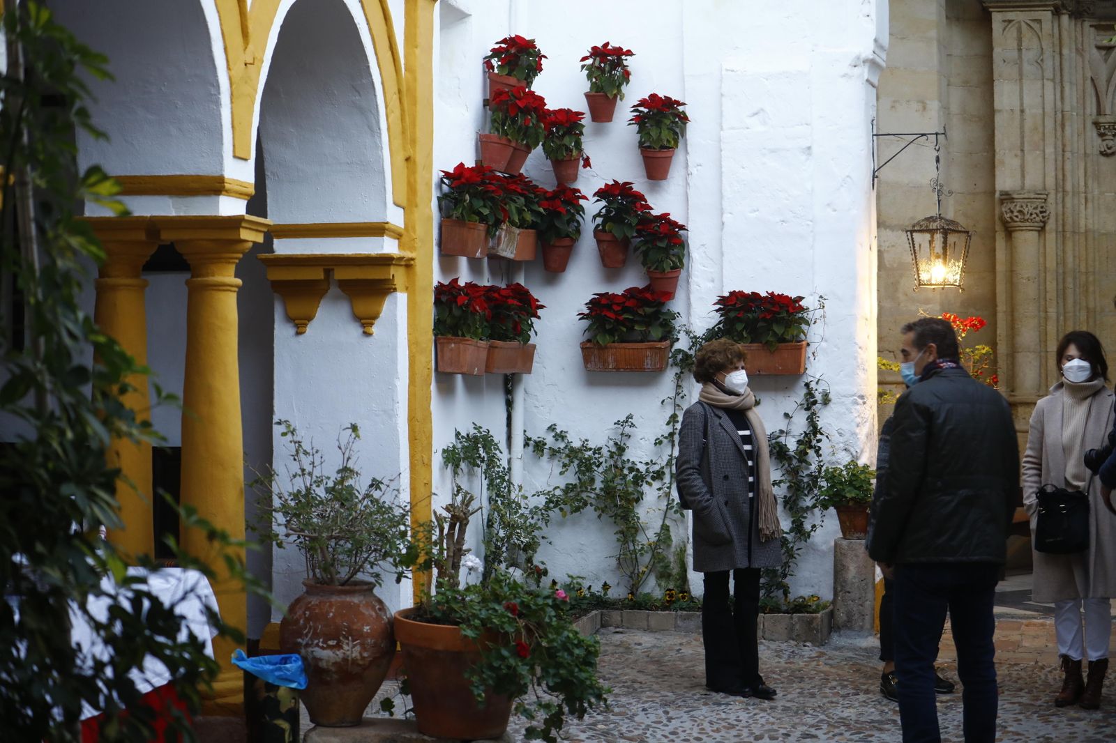 Las fotografías de los Patios de Córdoba en Navidad