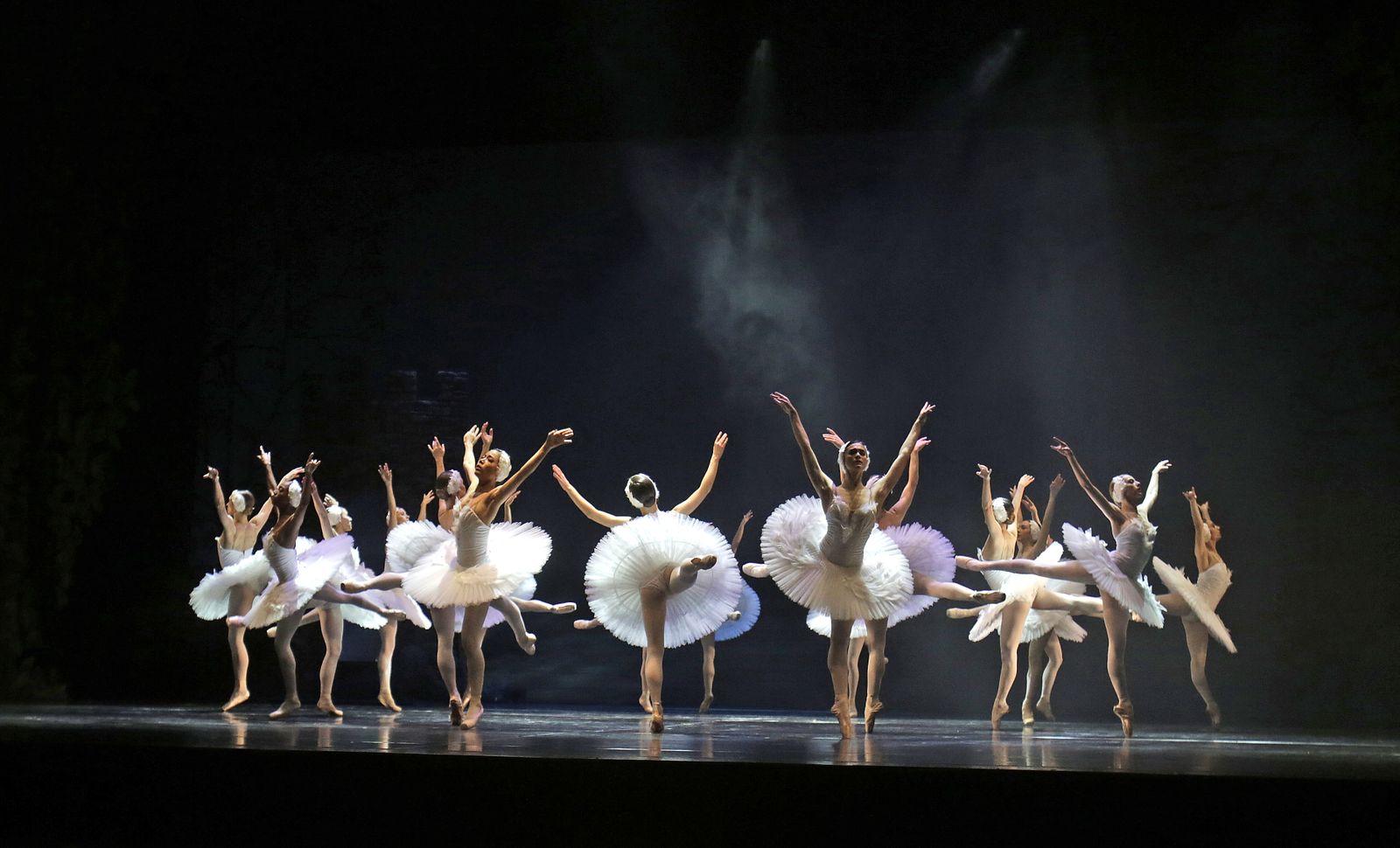 EL LAGO DE LOS CISNES