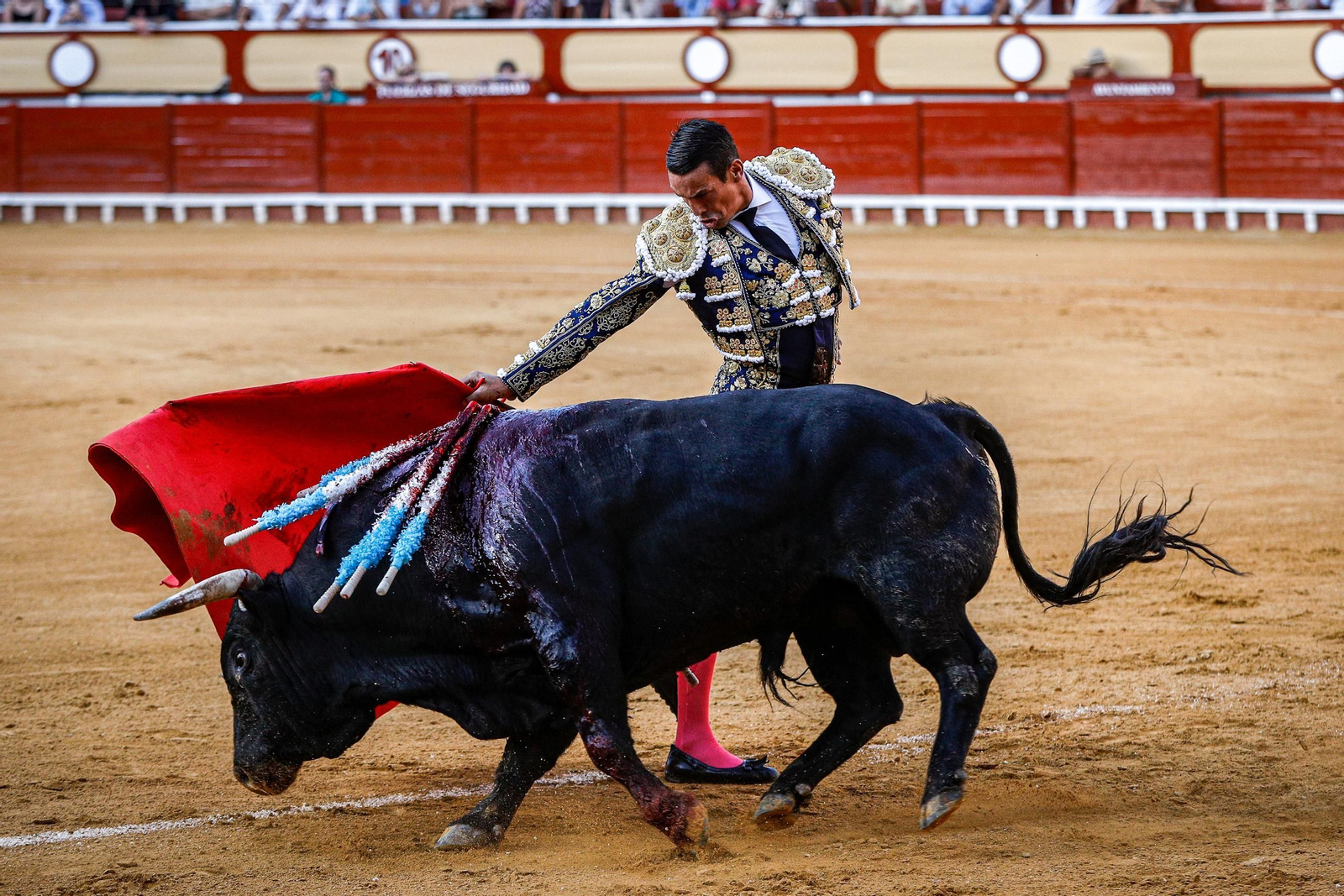 Imágenes de la corrida de toros en El Puerto: Manzanares, Roca Rey y Pablo Aguado