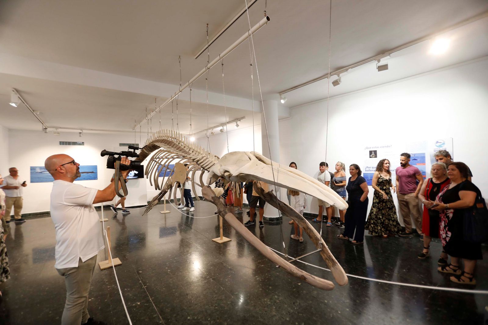 El esqueleto de Galadriel, expuesto en La Línea.