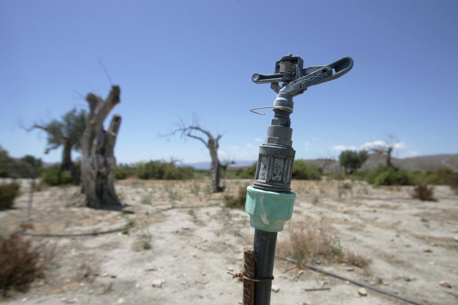 El paraguas sin abrir: ni rastro de las lluvias en un mal inicio del año hidrológico en Almería