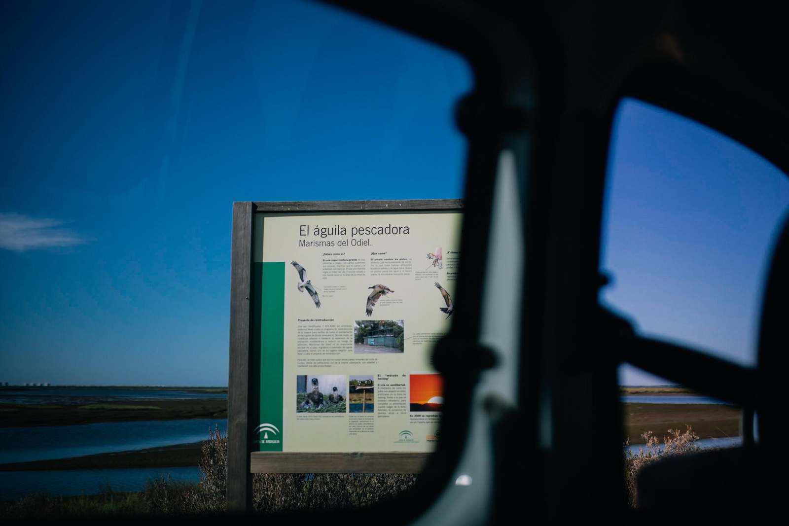 Un recorrido fotográfico por el Paraje Natural Marismas del Odiel