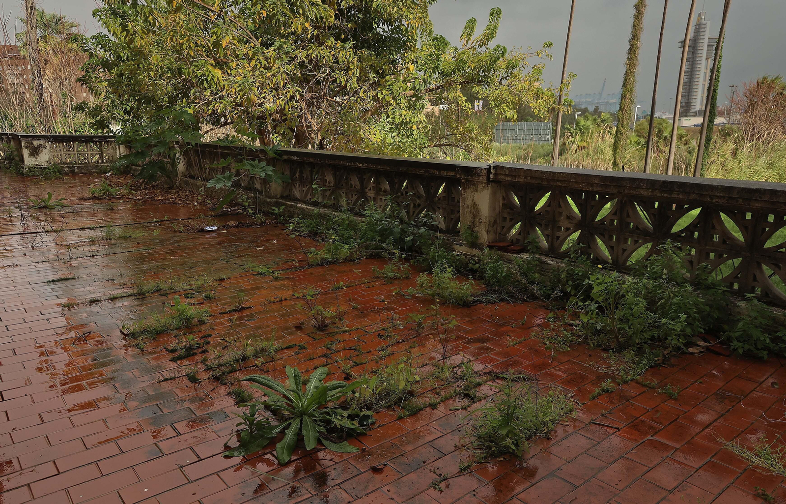 Fotos de las deficiencias en los juzgados del Palacio de Marzales de Algeciras