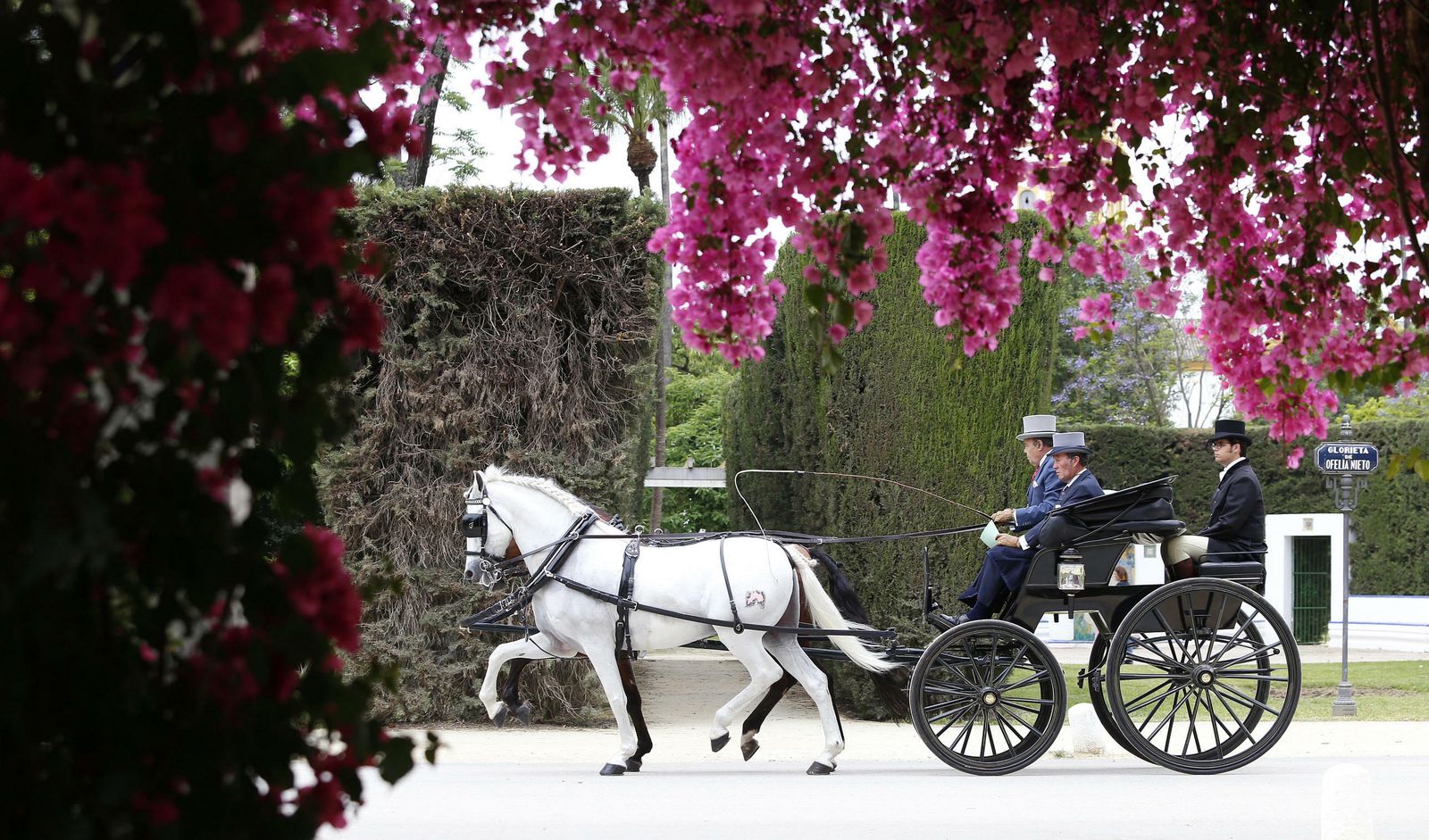 El concurso de enganches, en imágenes
