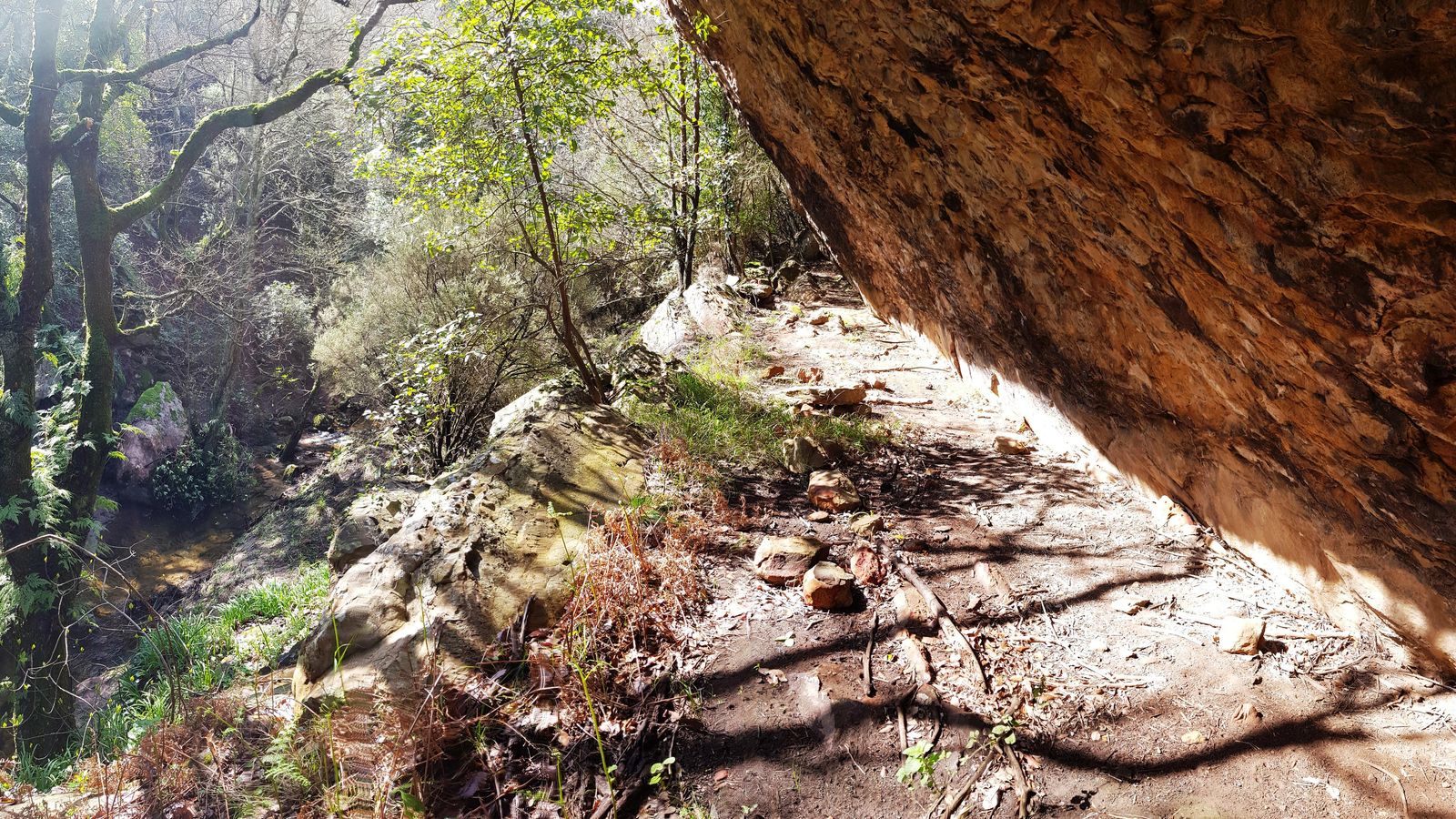 La cueva de los Helechos.