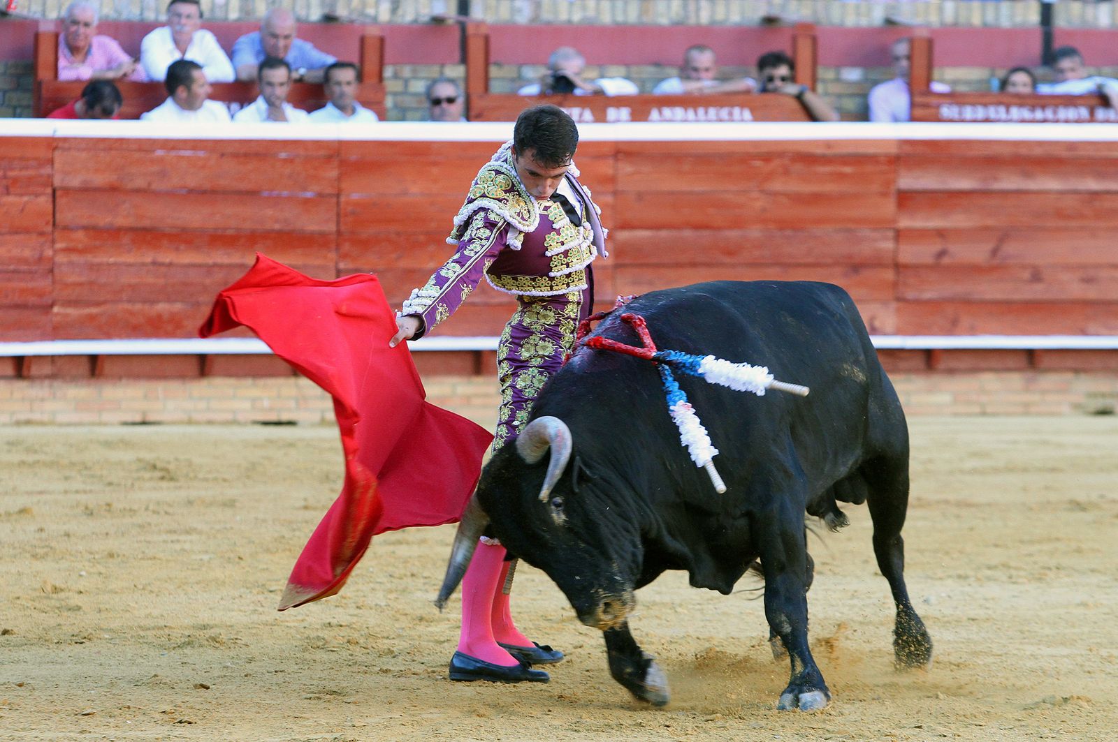 Imágenes de la Novillada de Rafael Serna, Emilio Silvera y Rodrigo Molina.