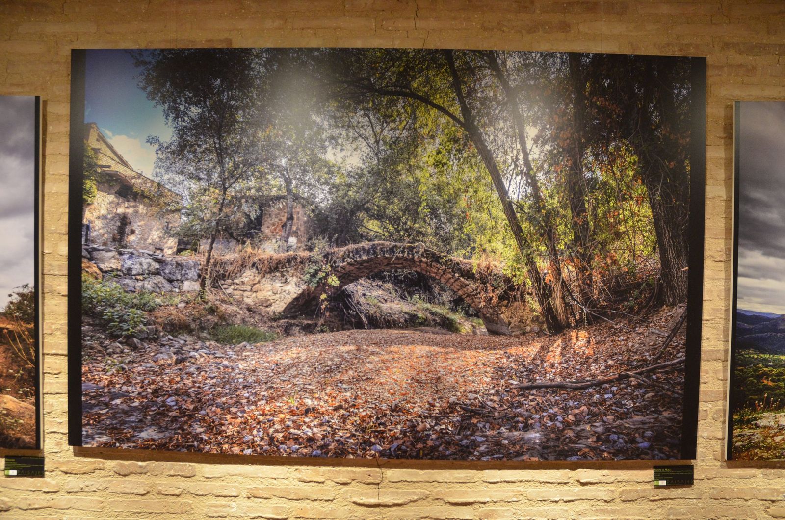 Viajar por Jaén sin moverse de la sala: la exposición ‘Paisajes’ que invita a caminar el territorio, en imágenes