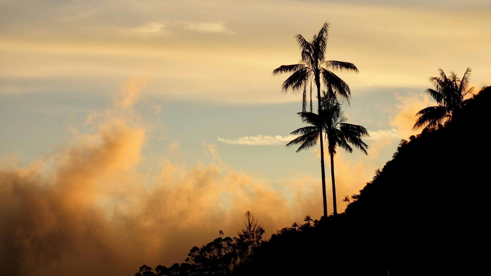 Música, gastronomía y arte: razones para volar de Madrid a Bogotá este otoño