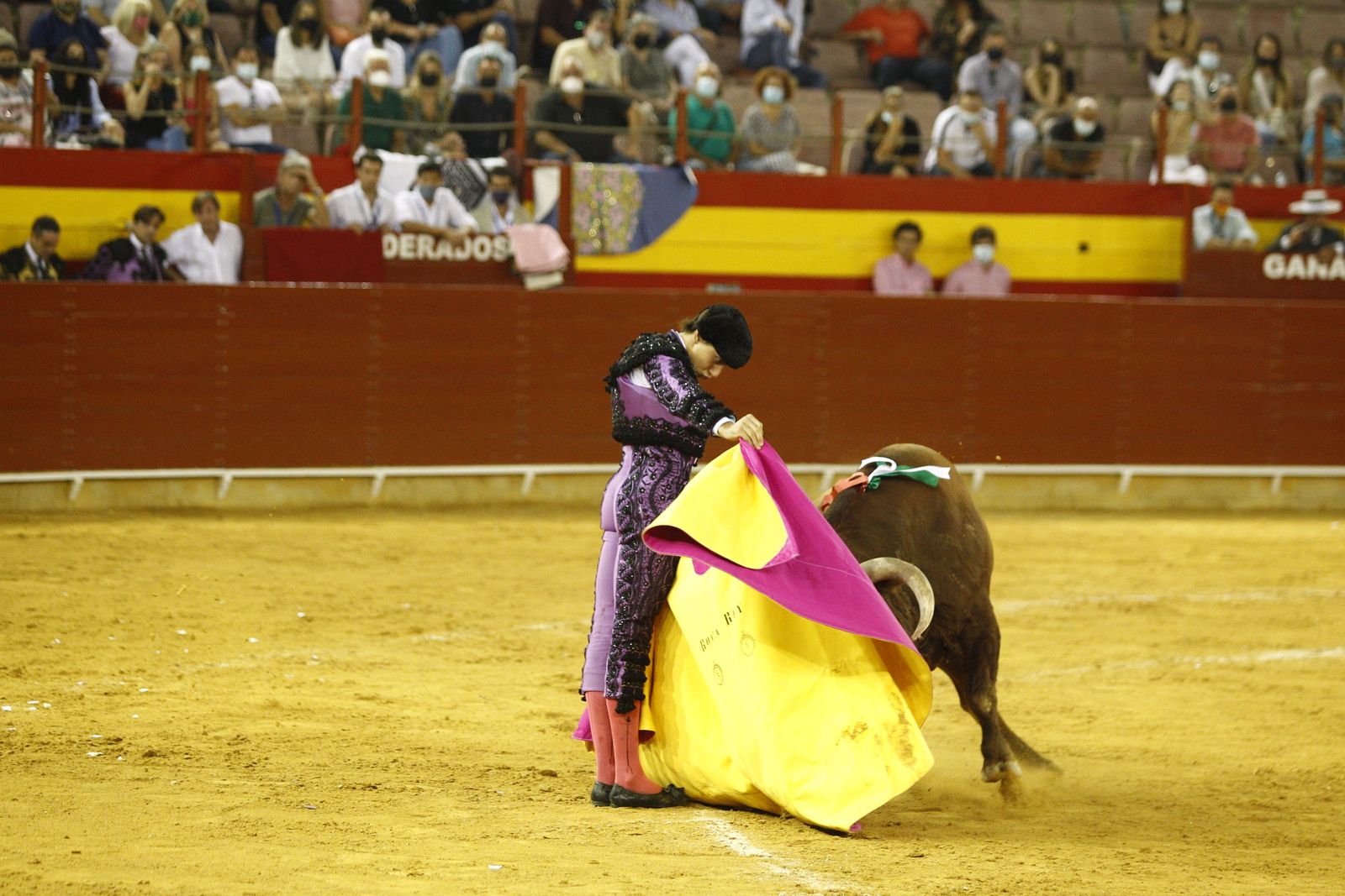 Fotogalería corrida de toros. Cayetano Rivera, Paco Ureña y Roca Rey. Roquetas de Mar.