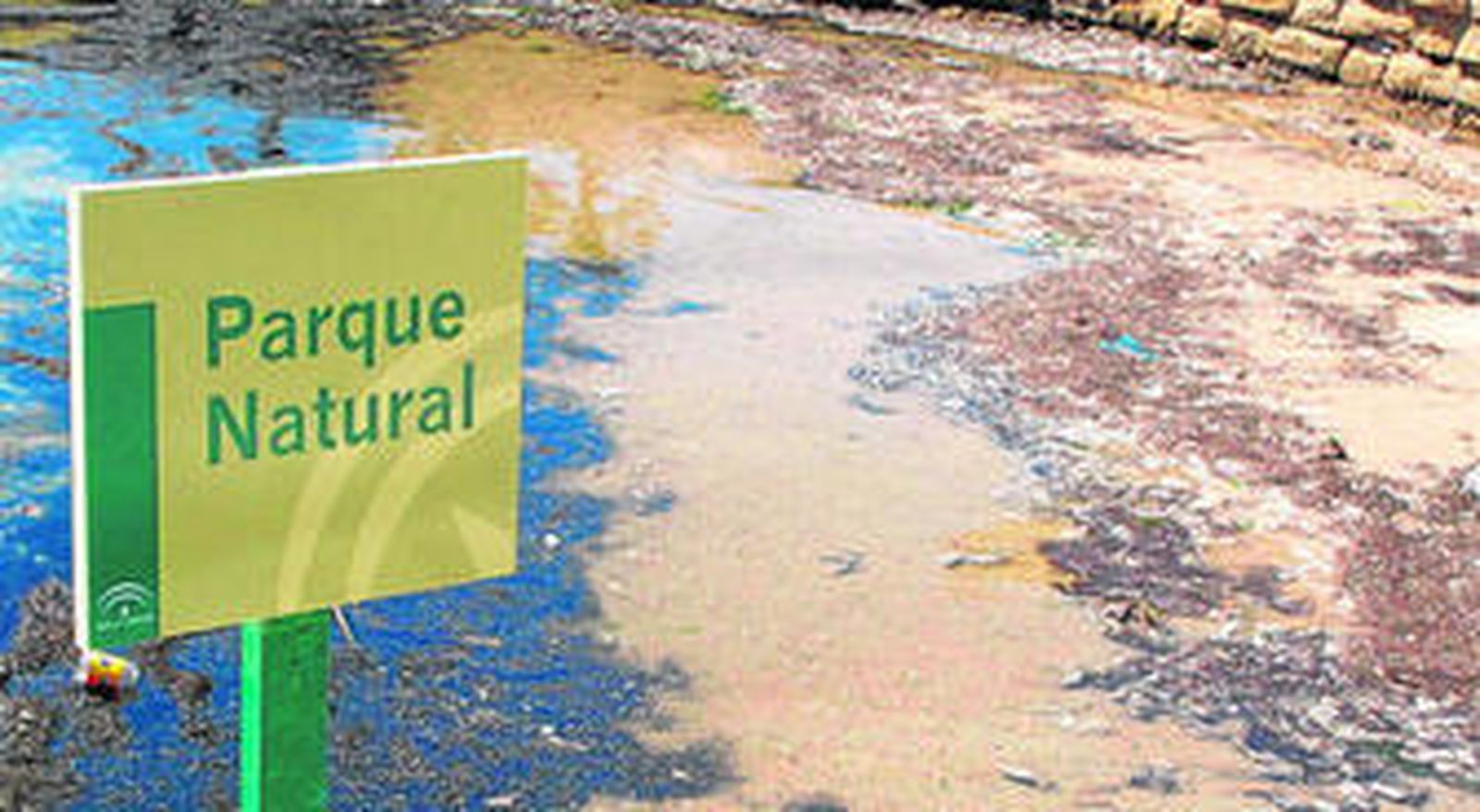 La zona de la Media Luneta totalmente repleta de plásticos y papel higiénico.