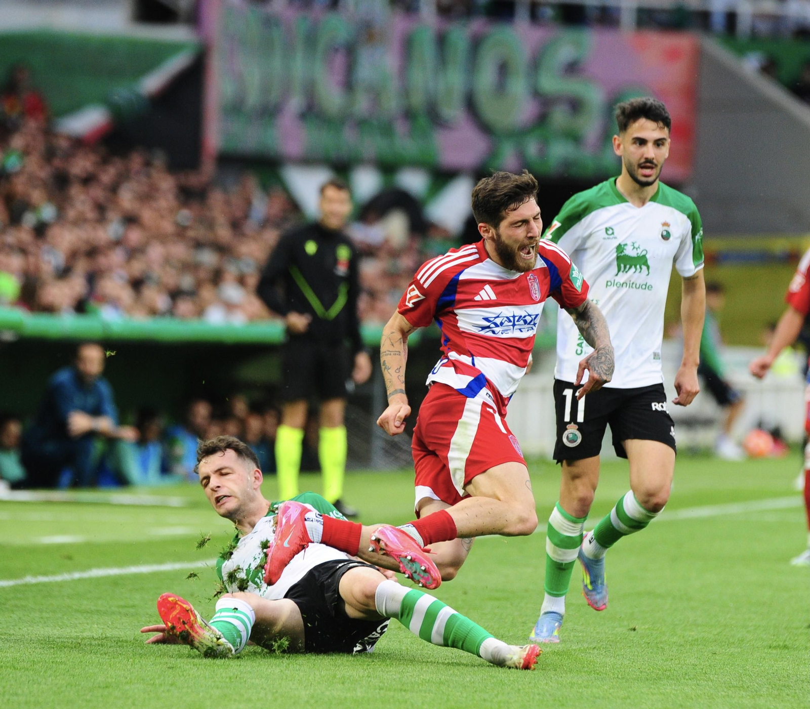 Las mejores imágenes del Racing de Santander-Granada CF